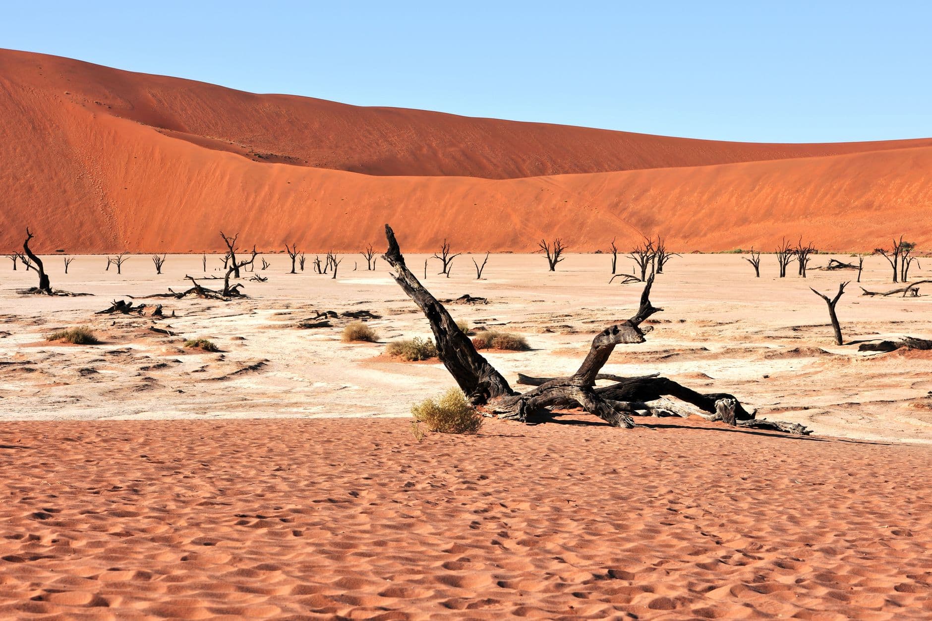 eSIM in Deadvlei 2