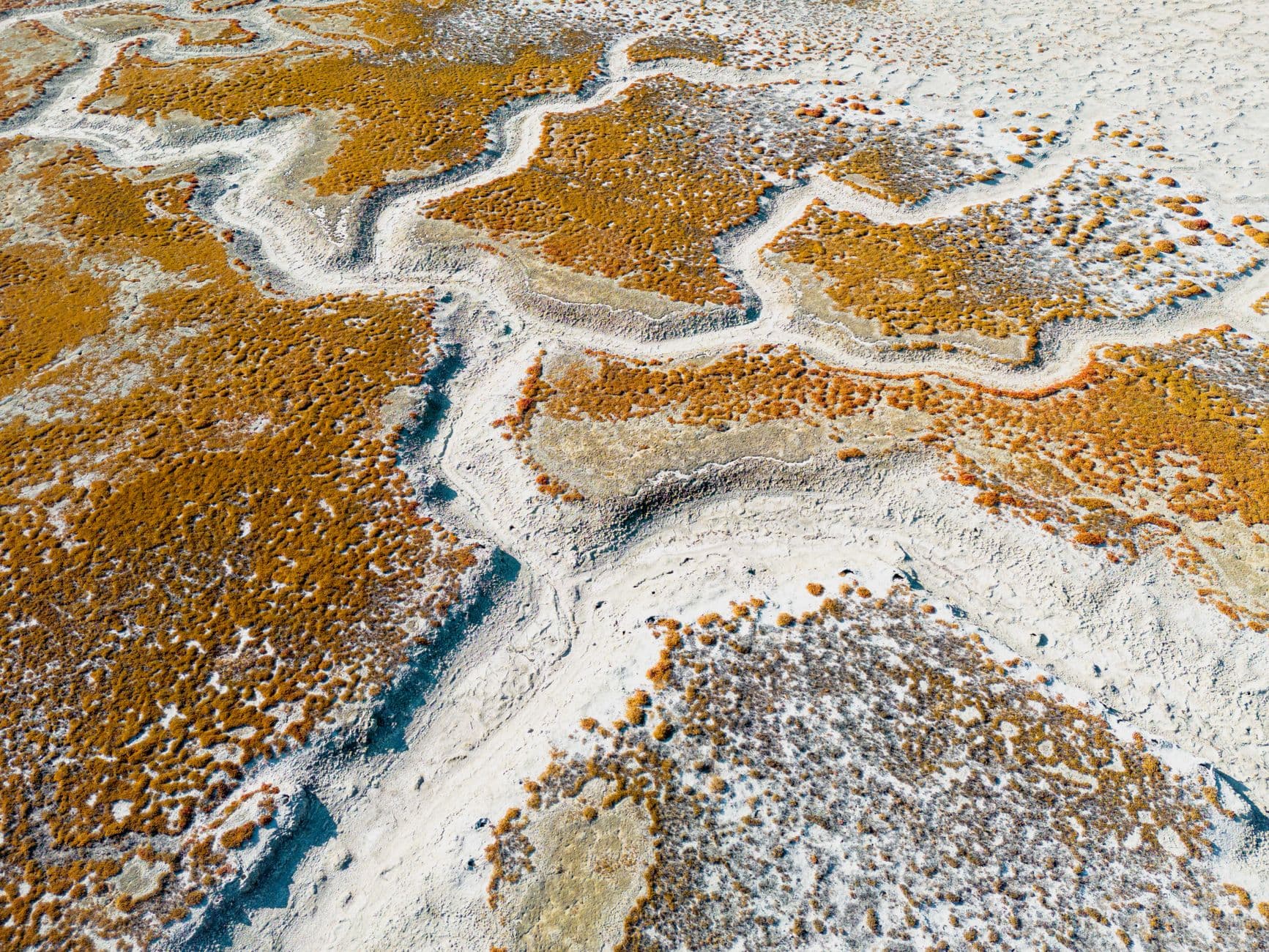 eSIM in Makgadikgadi Salt Pans 1