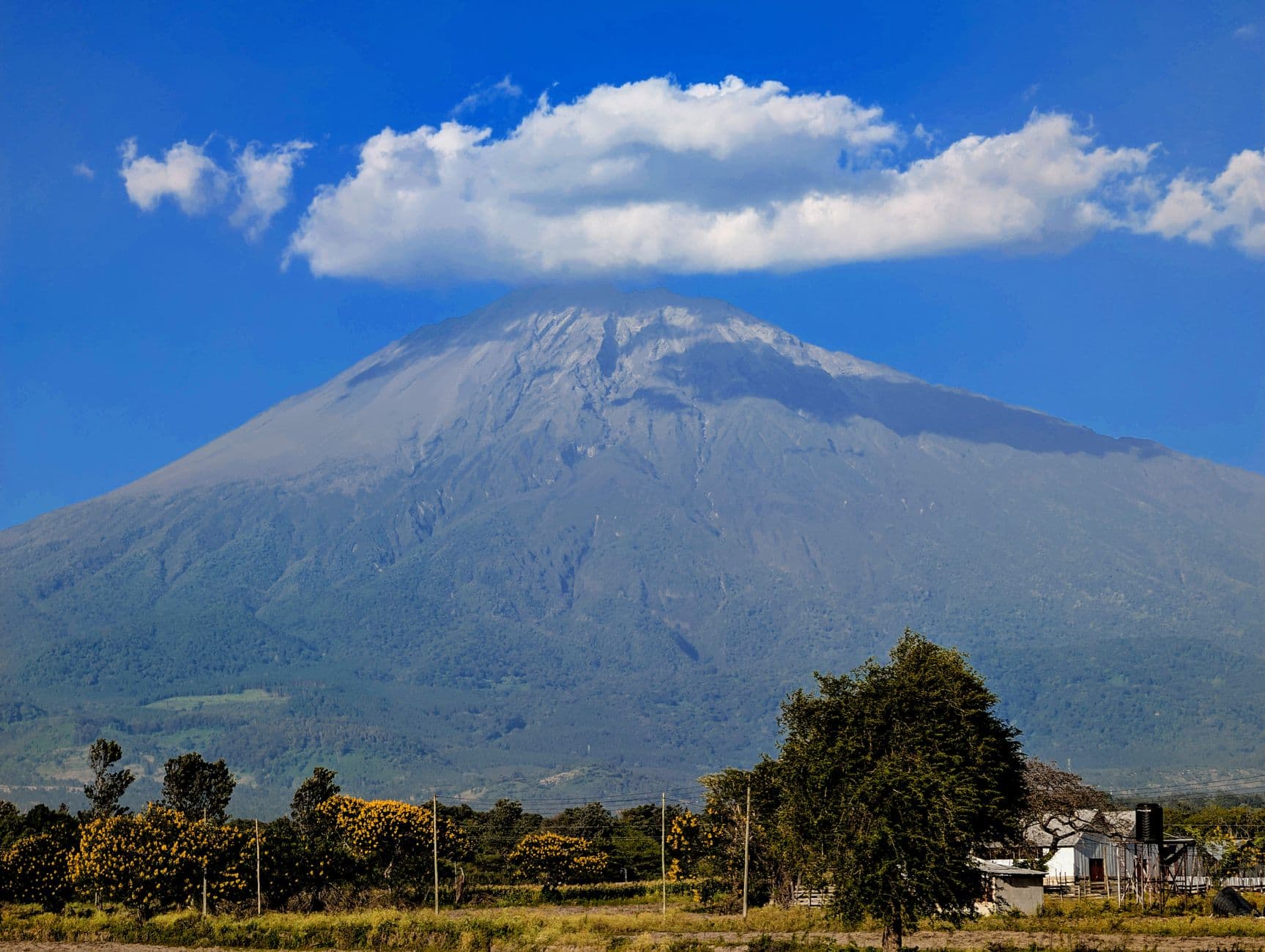eSIM in Volcanoes National Park Rwanda 1