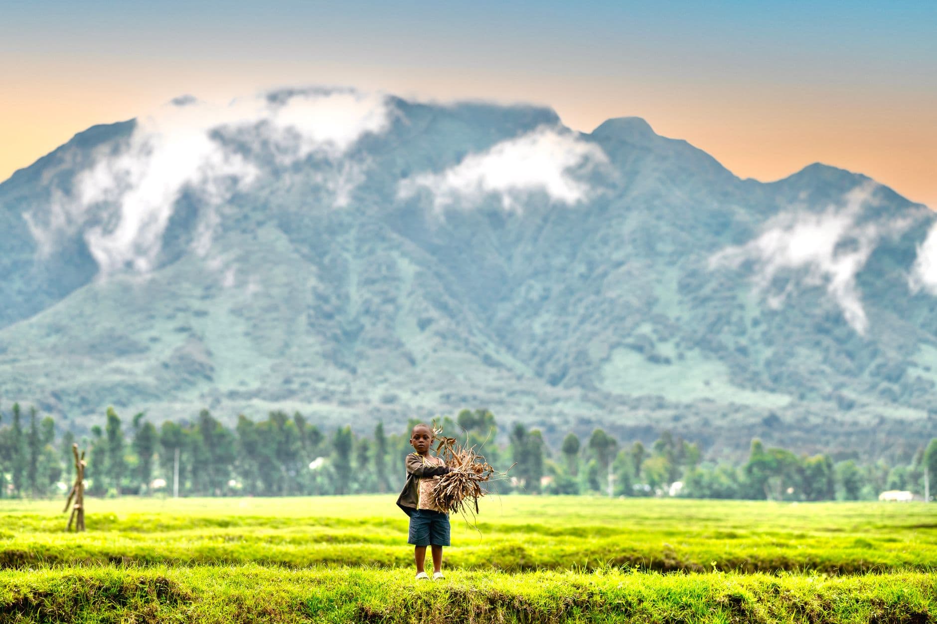 eSIM in Rwenzori Mountains 2