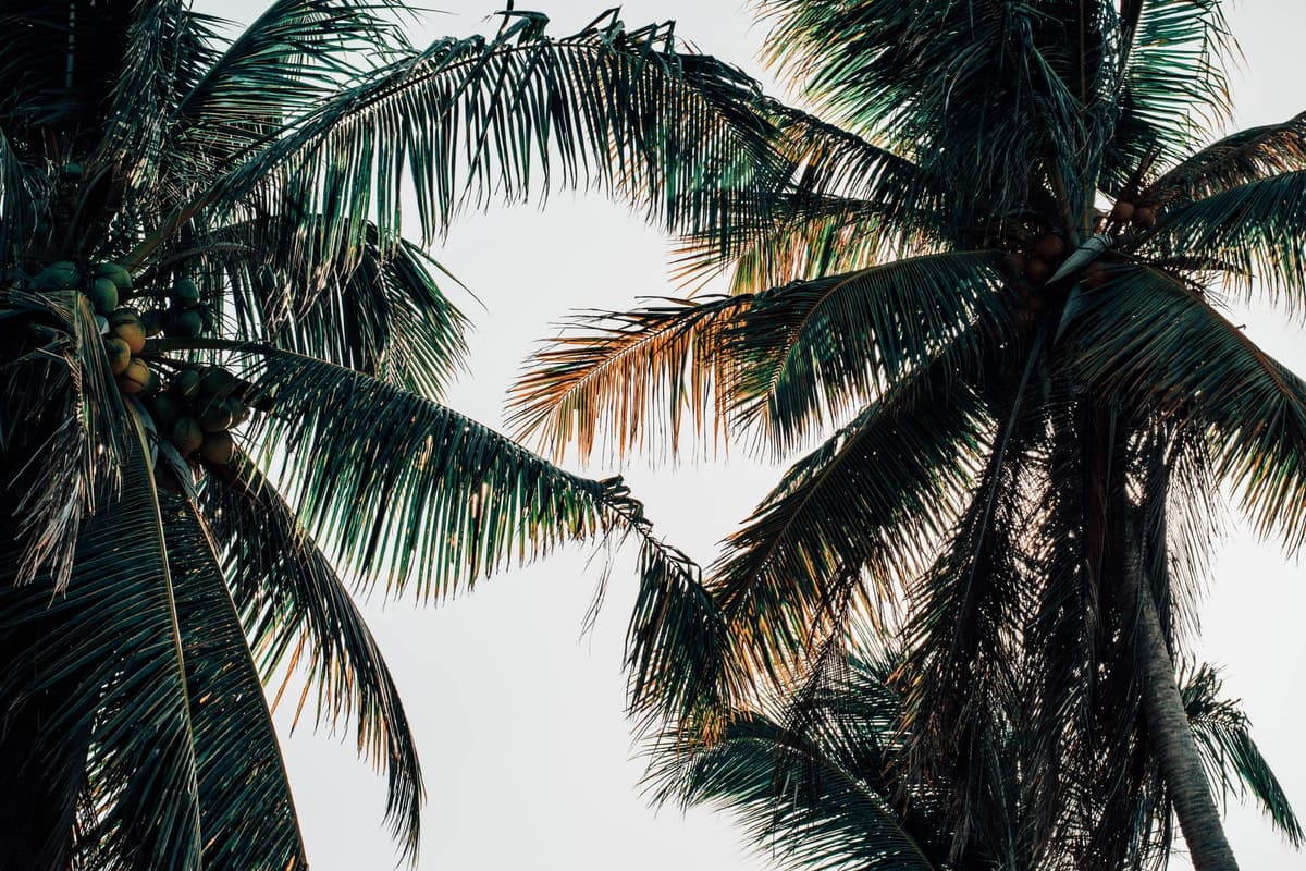 eSIM in Cayo Coco 2