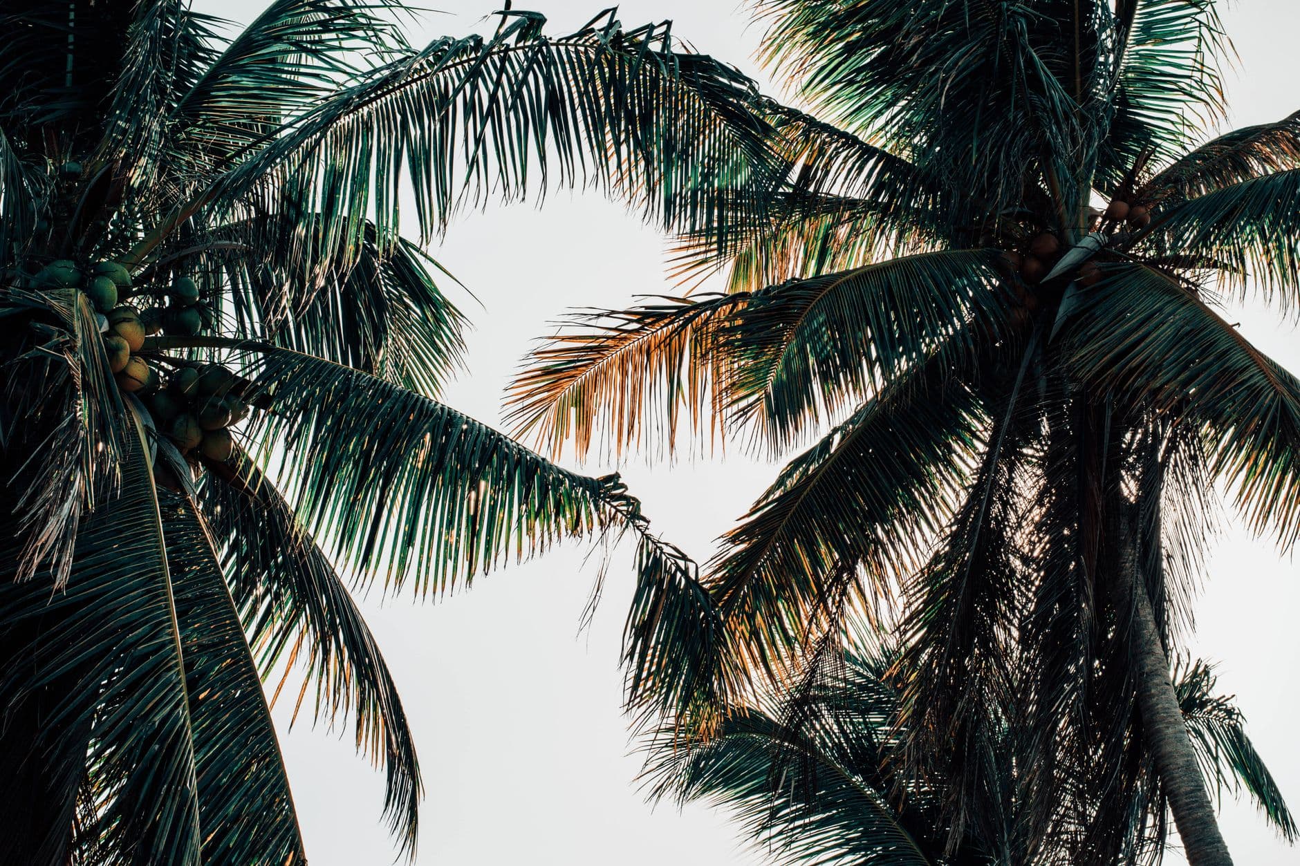 eSIM in Cayo Coco 2