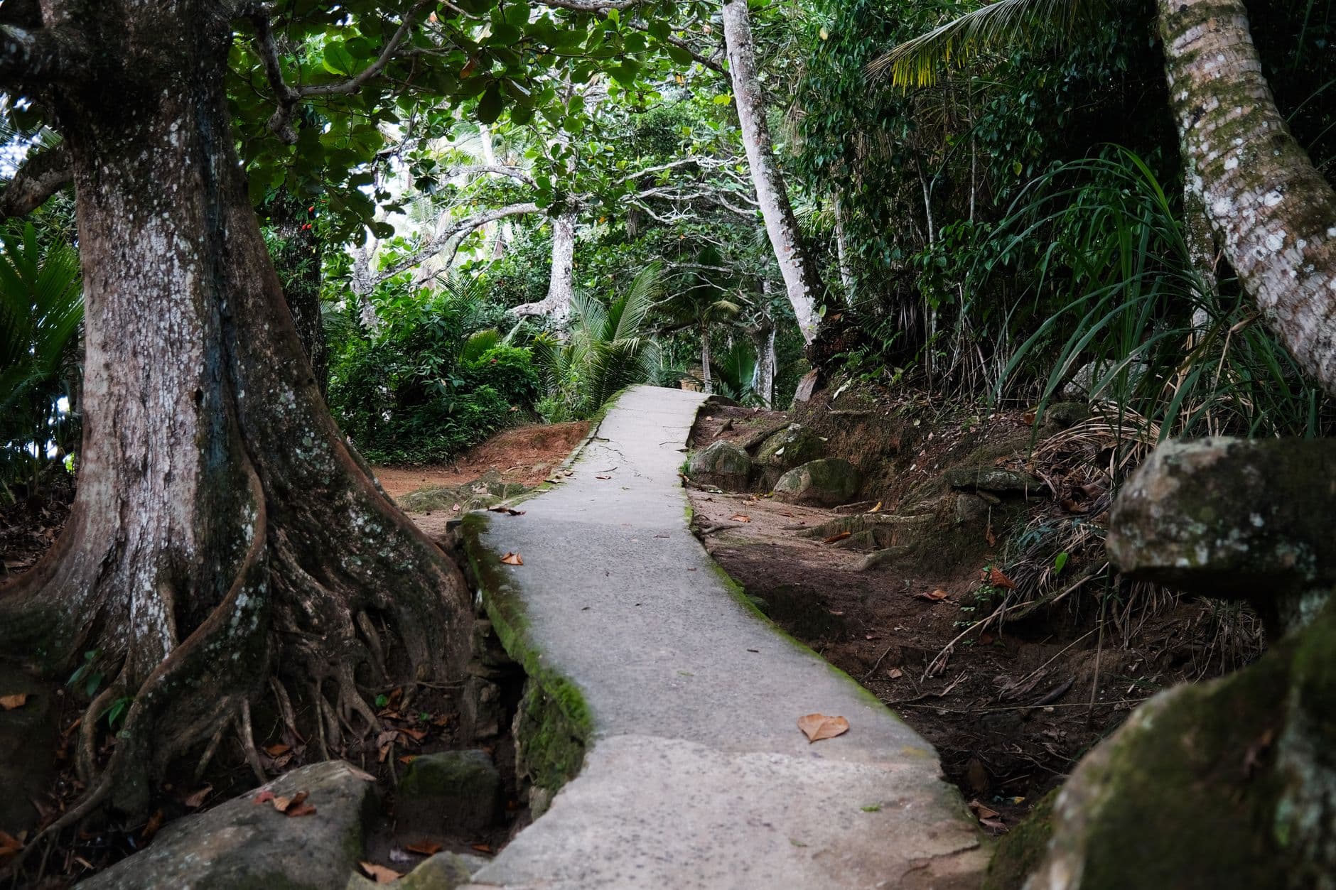 eSIM in Vallee de Mai 2
