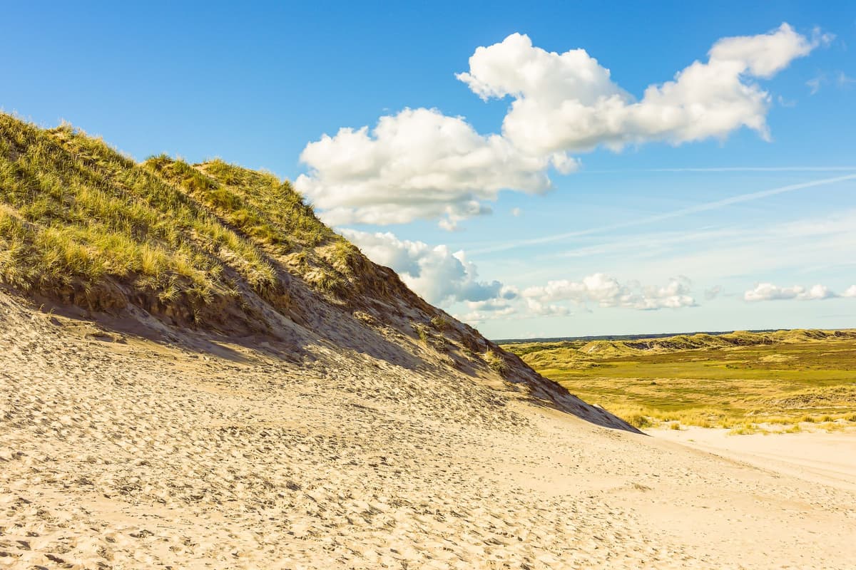 eSIM in Curonian Spit 1