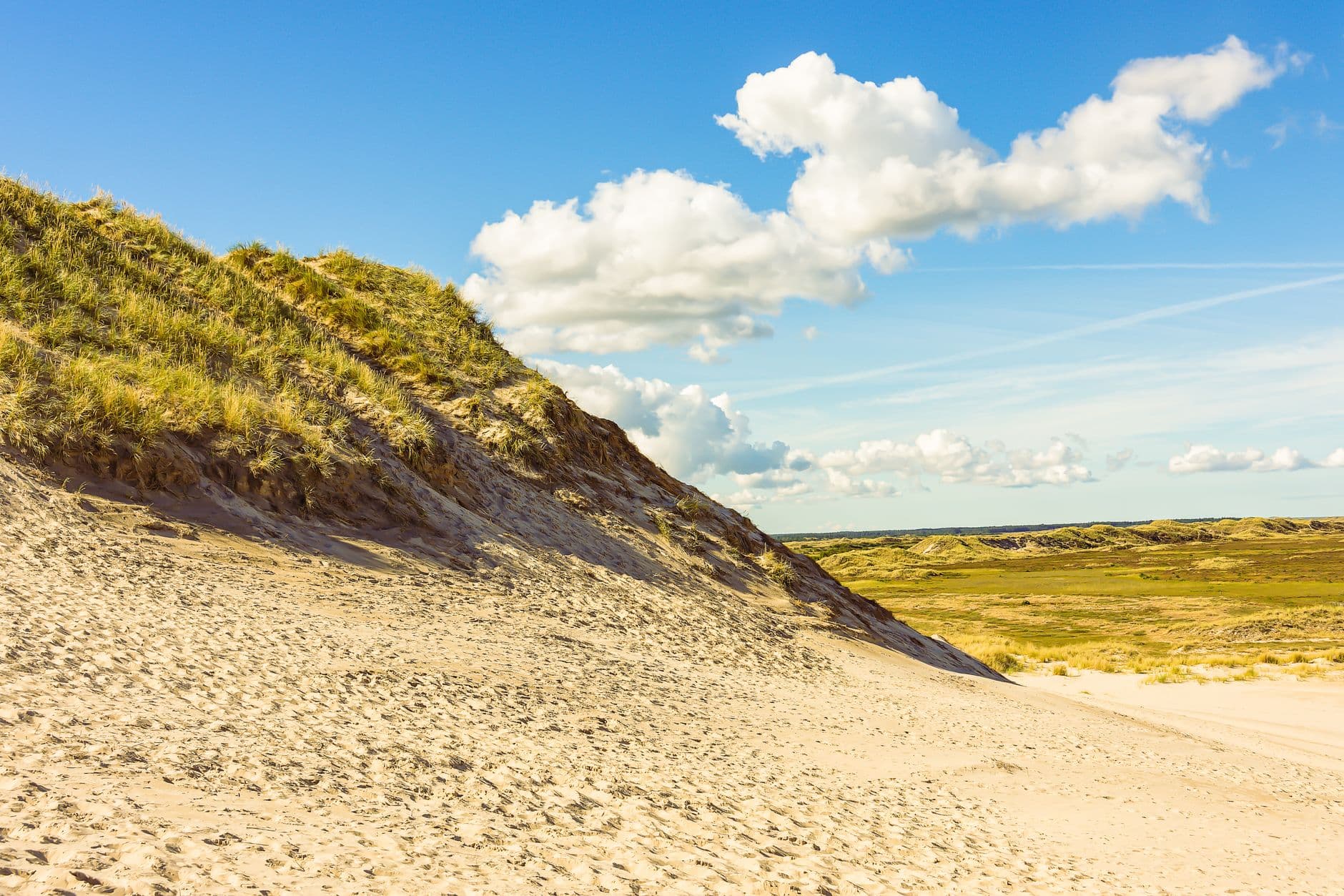 eSIM in Curonian Spit 1