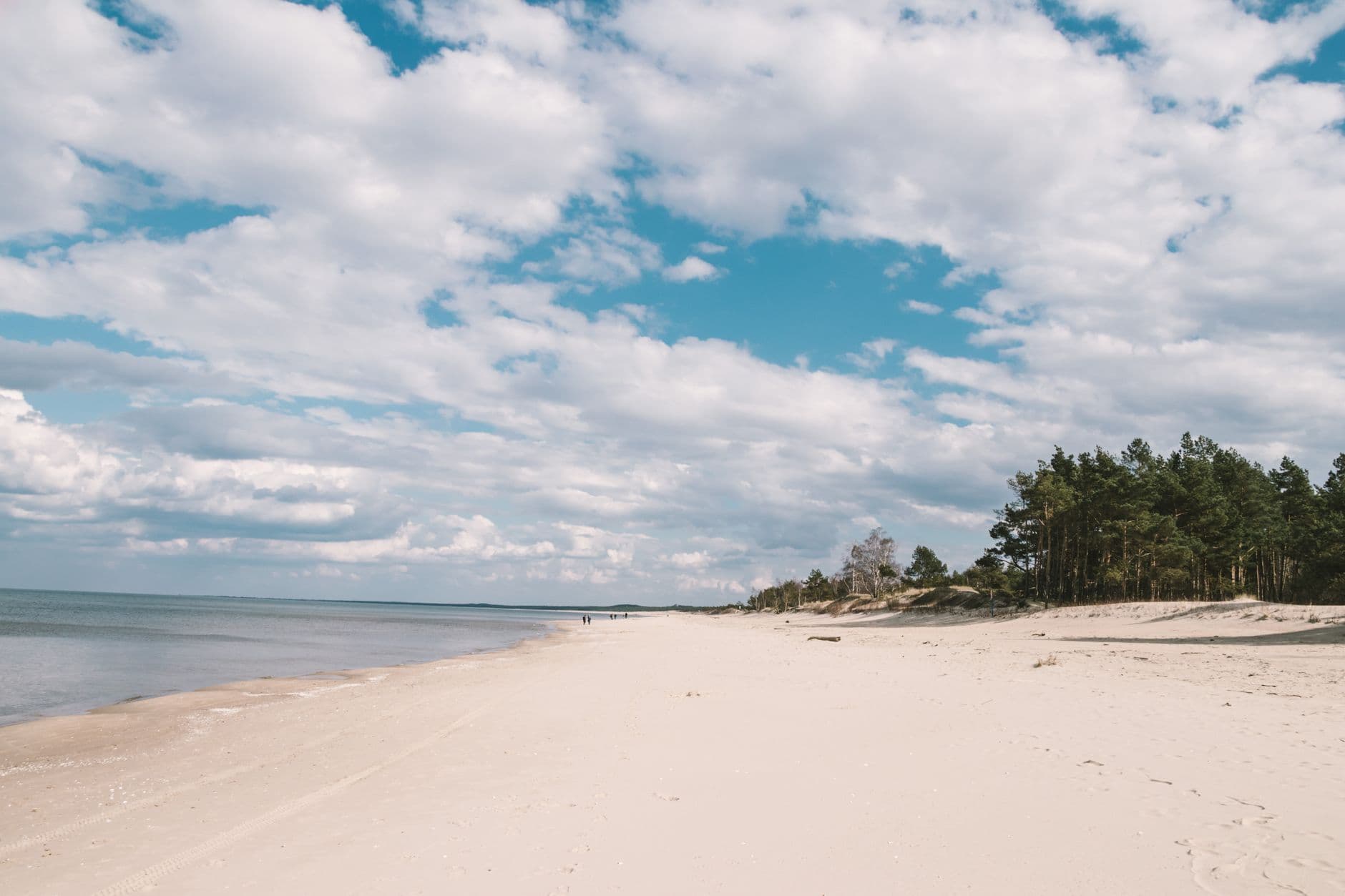 eSIM in Curonian Spit 2