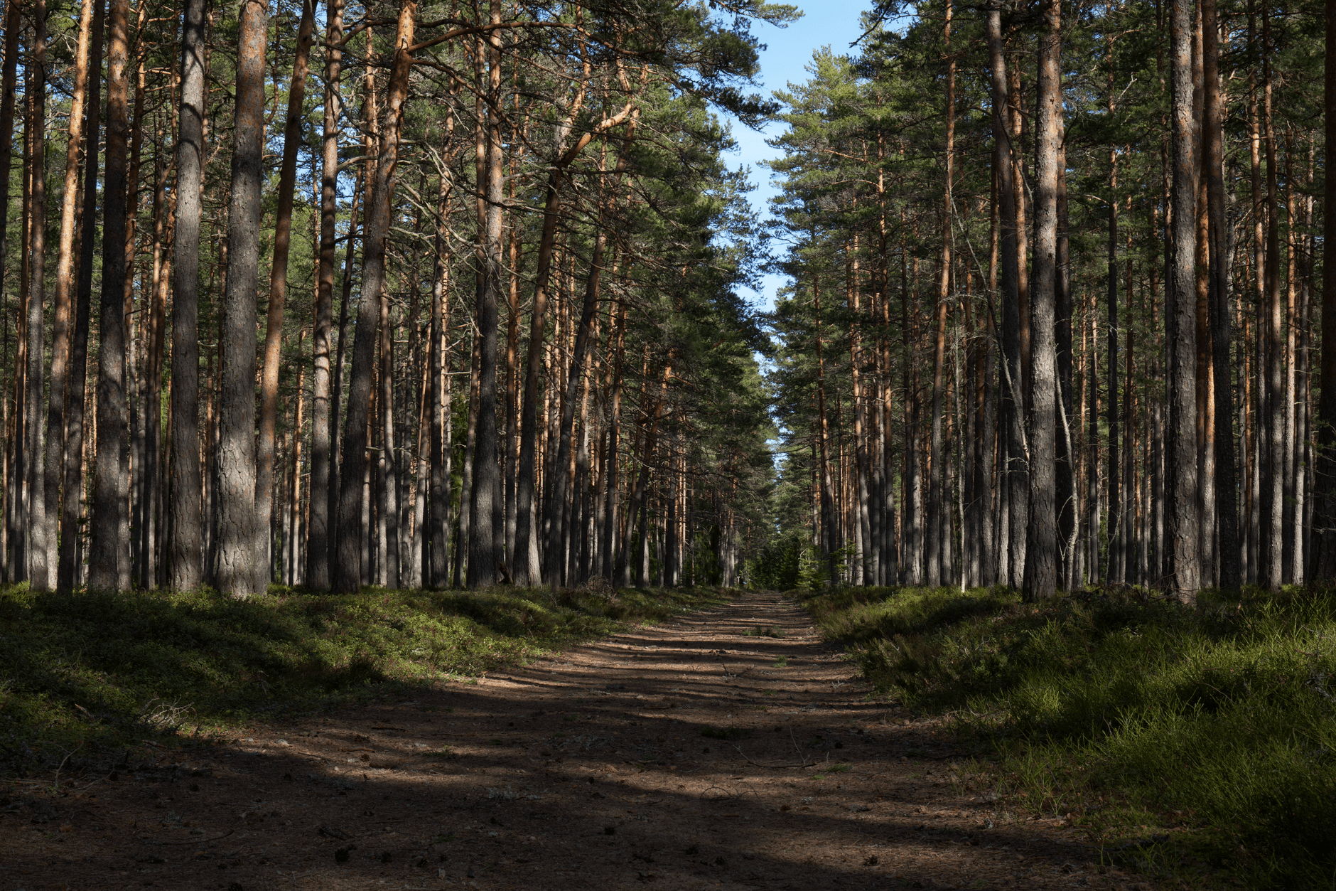 eSIM in Aukstaitija National Park 2