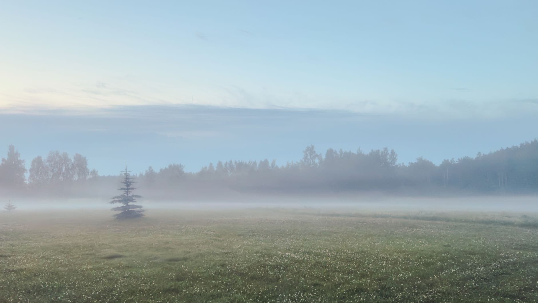eSIM in Gauja National Park 1