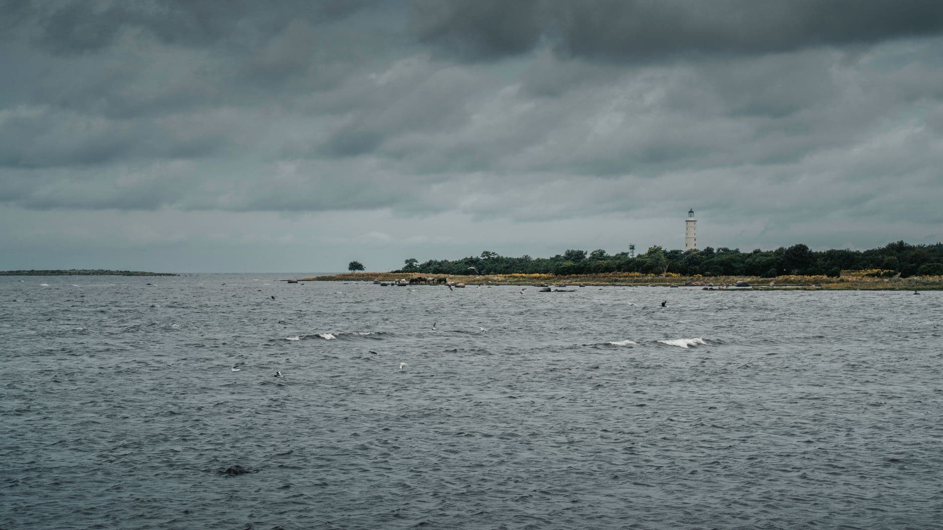 eSIM in Saaremaa Island 1