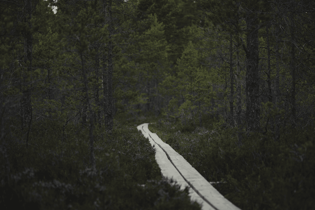 eSIM in Soomaa National Park 1