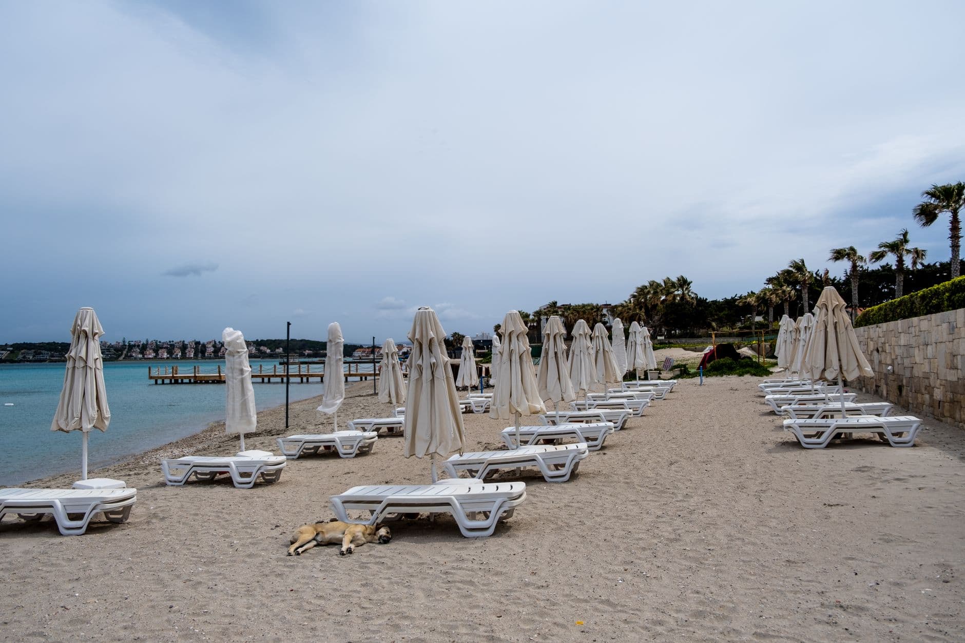 eSIM in Fig Tree Bay 1