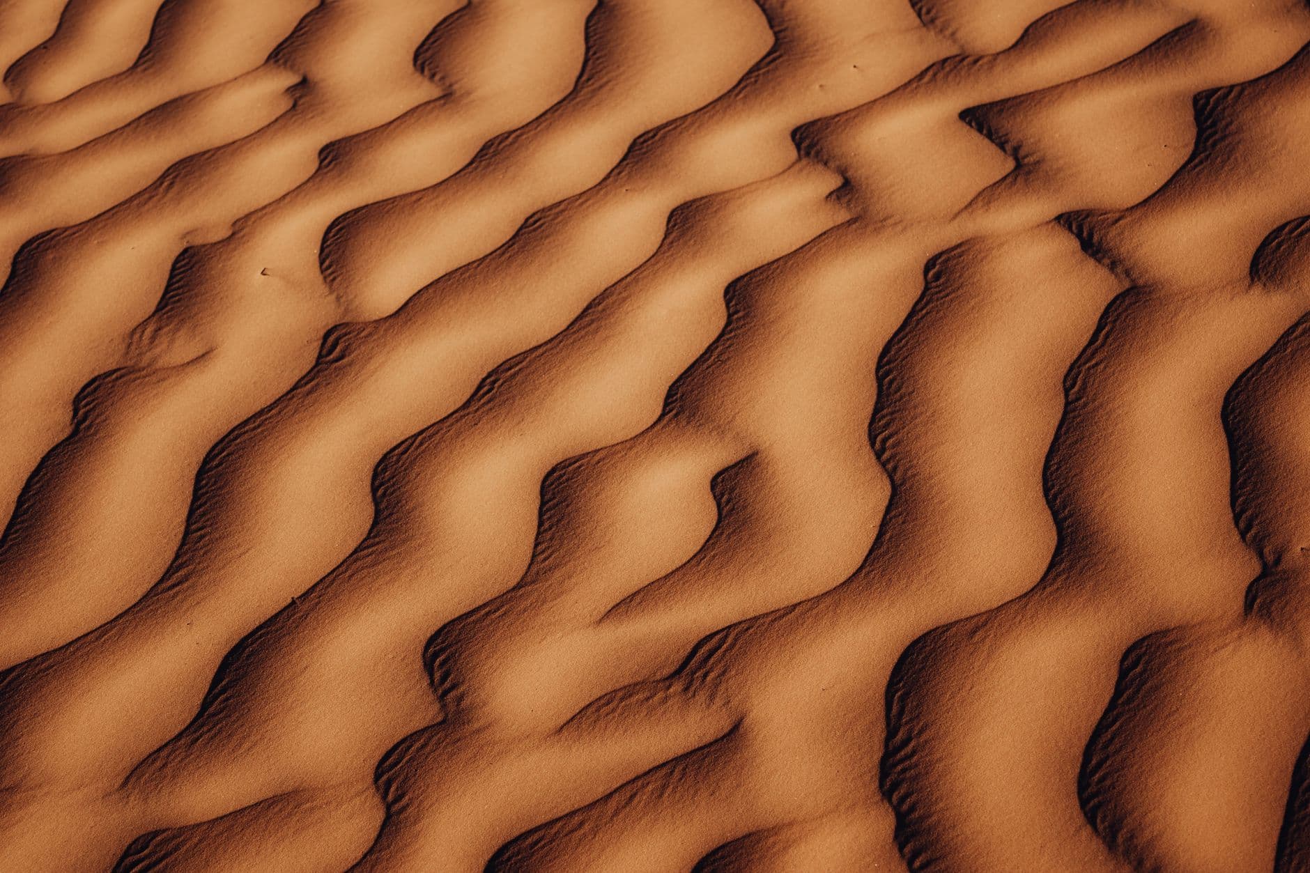 eSIM in Sahara Desert Tunisia 1