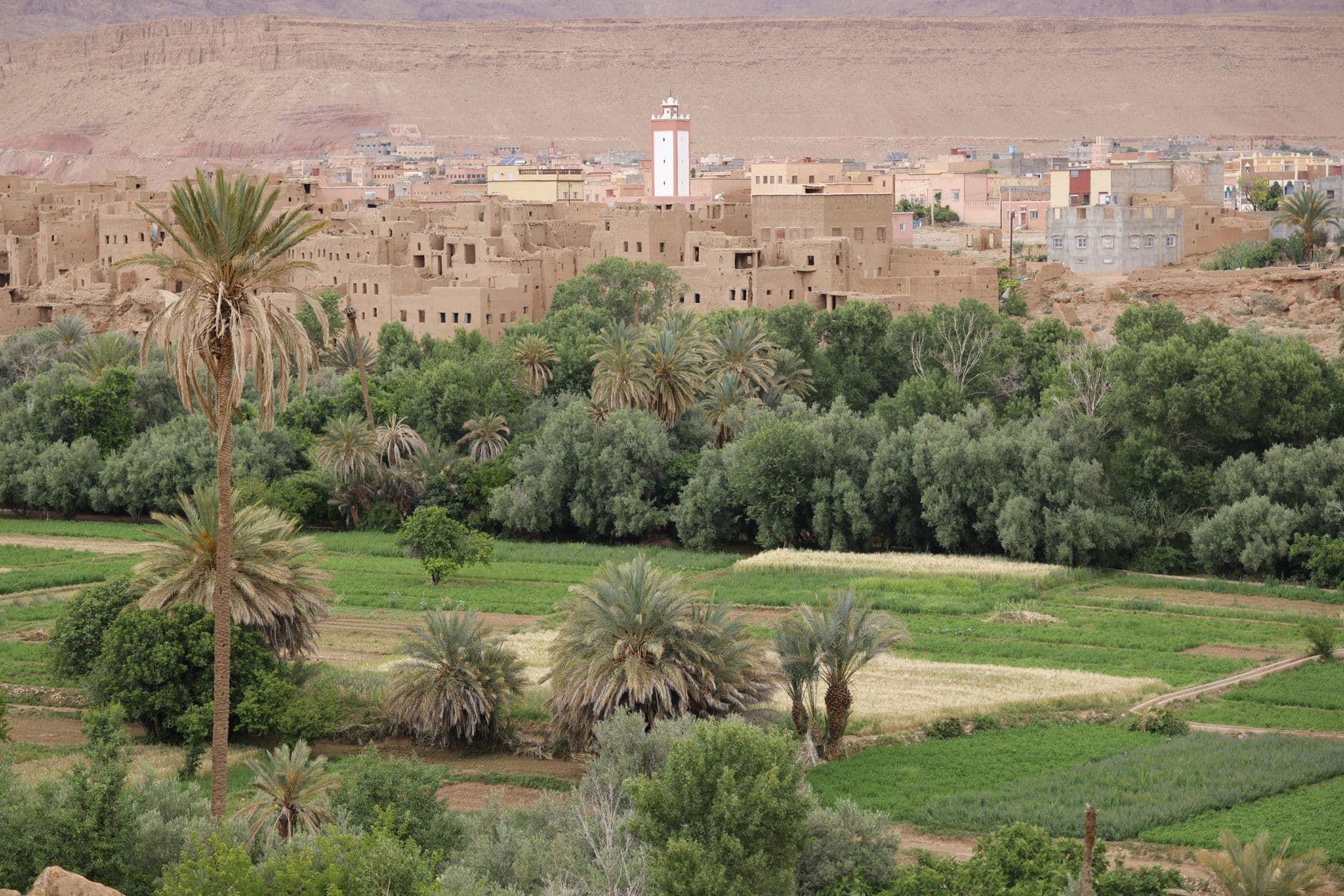 eSIM in Tozeur Oasis 1