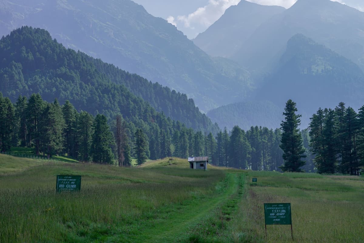 eSIM in Fairy Meadows 2
