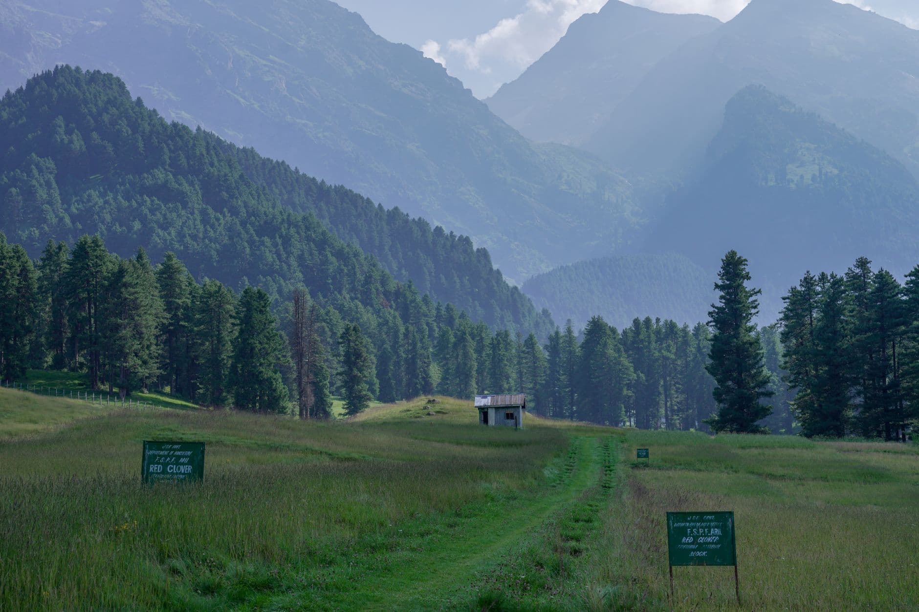 eSIM in Naltar Valley 1
