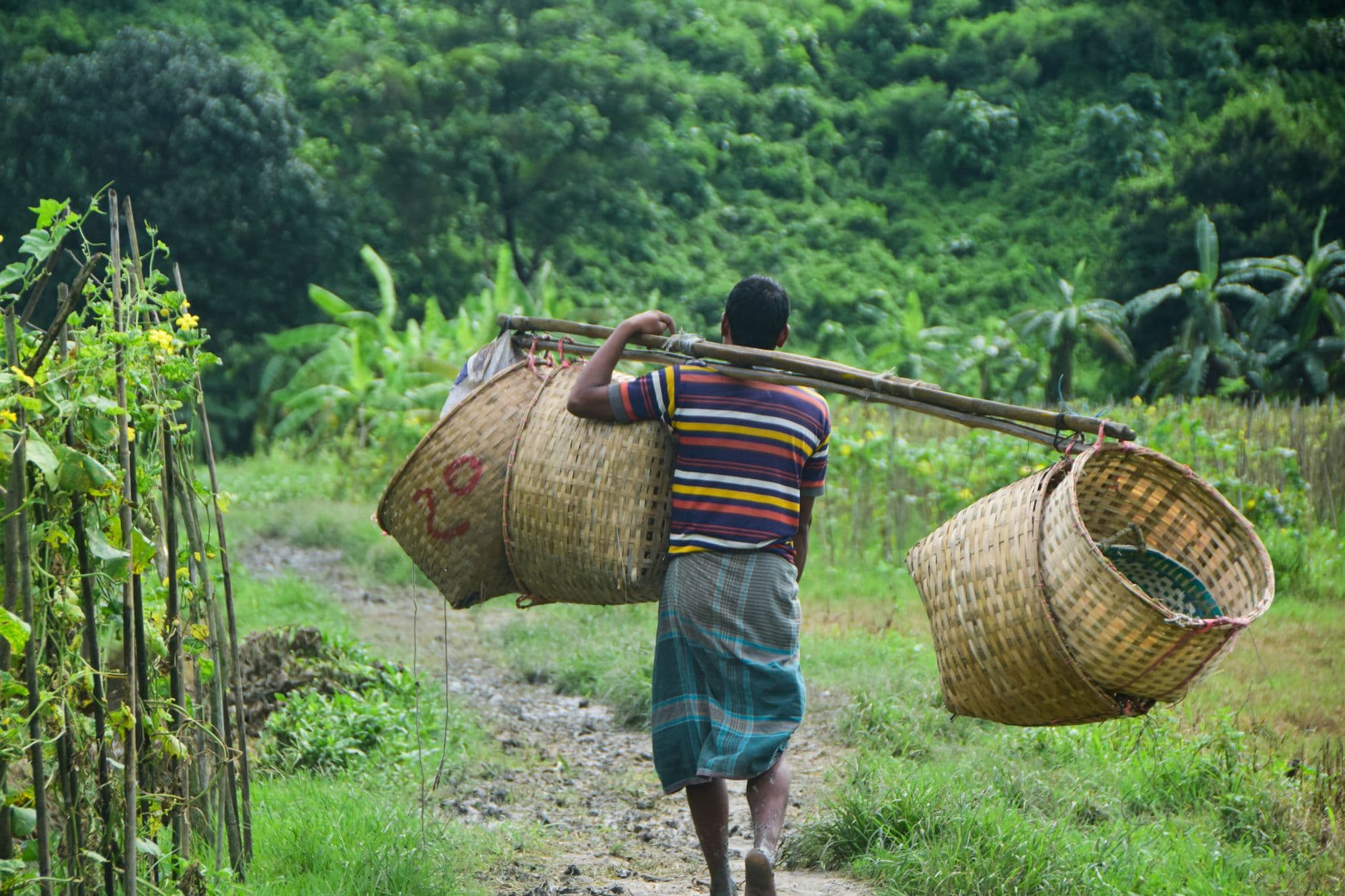 eSIM in Bandarban Hill Tracts 1