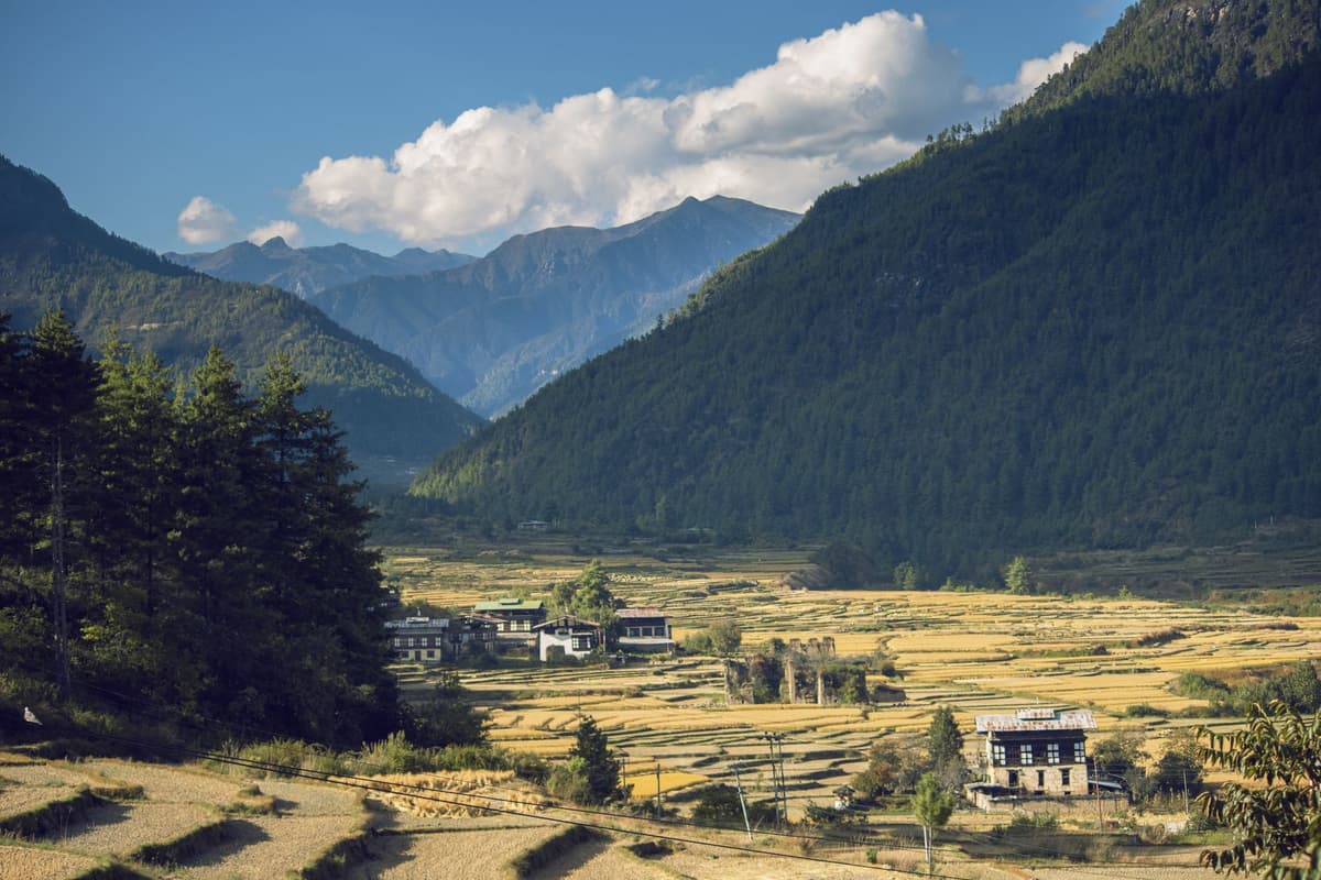 eSIM in Punakha Valley 2