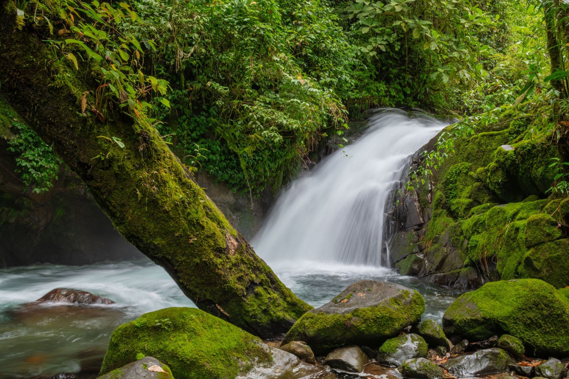 eSIM in Monteverde 1