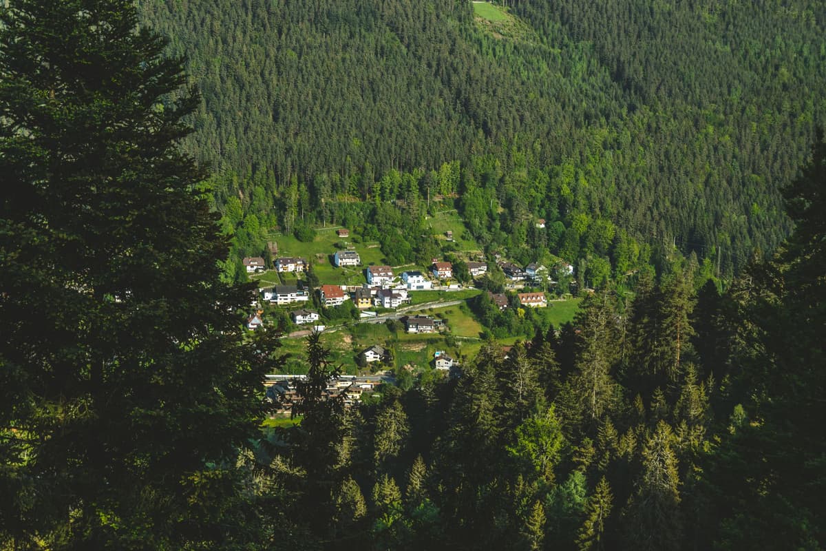 eSIM in Black Forest 2