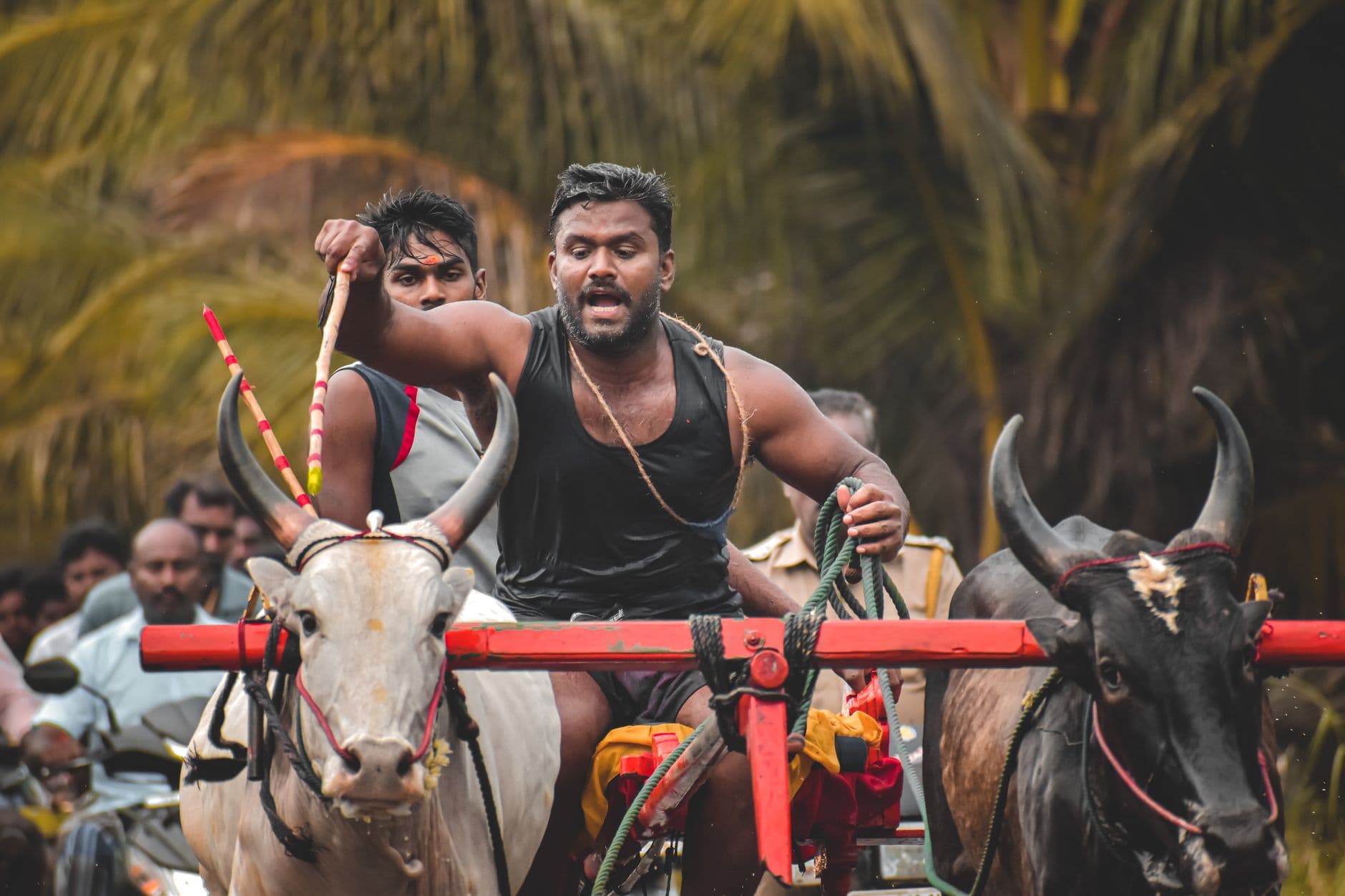 eSIM in Running of the Bulls 1