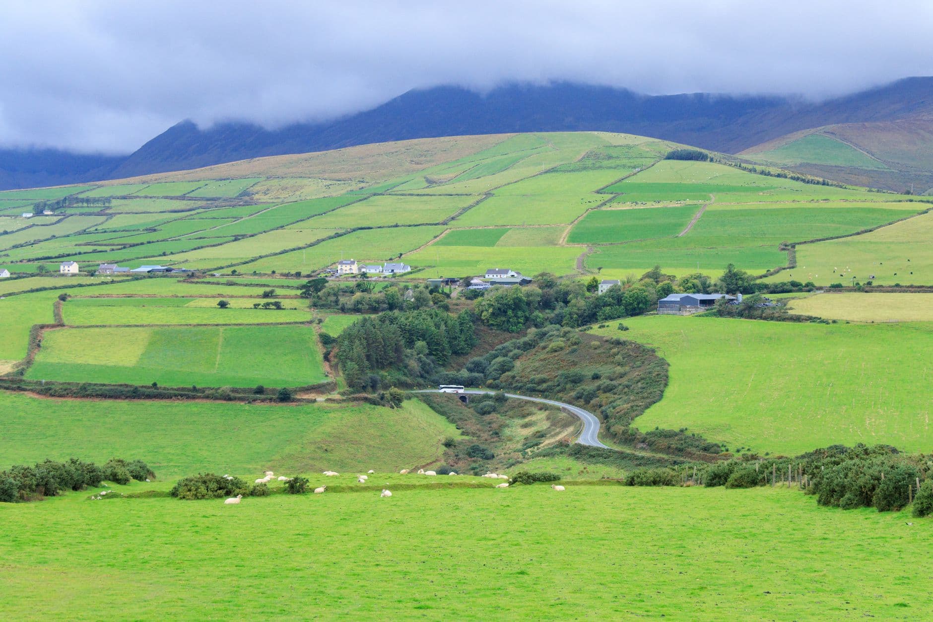 eSIM in Ring of Kerry 1