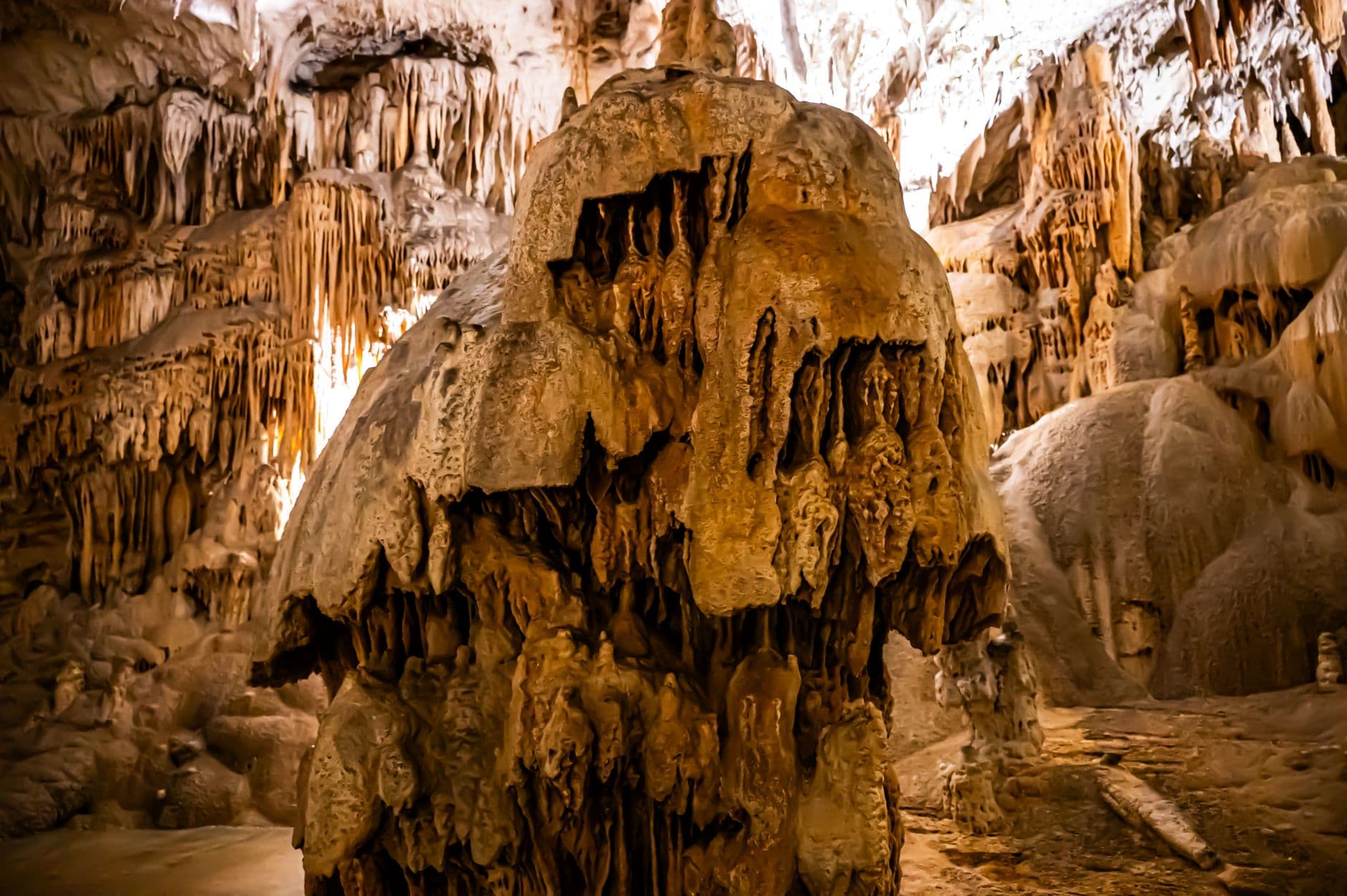 eSIM in Postojna Cave 2
