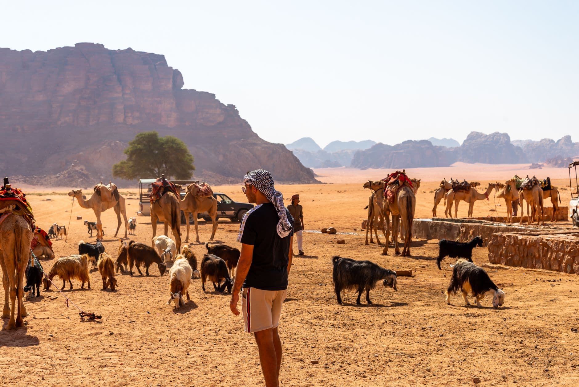 eSIM in Wadi Rum 2
