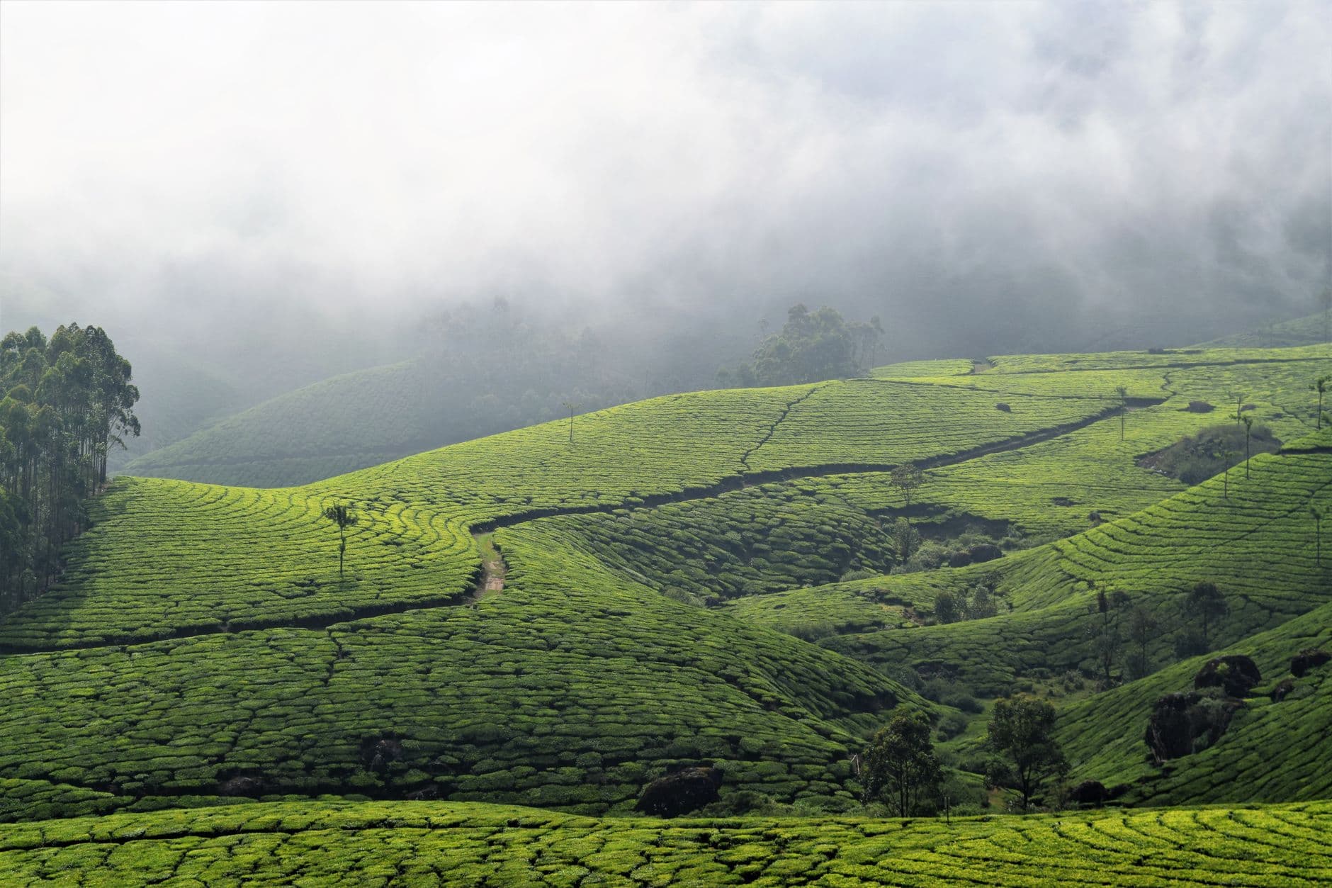 eSIM in Kerala 1