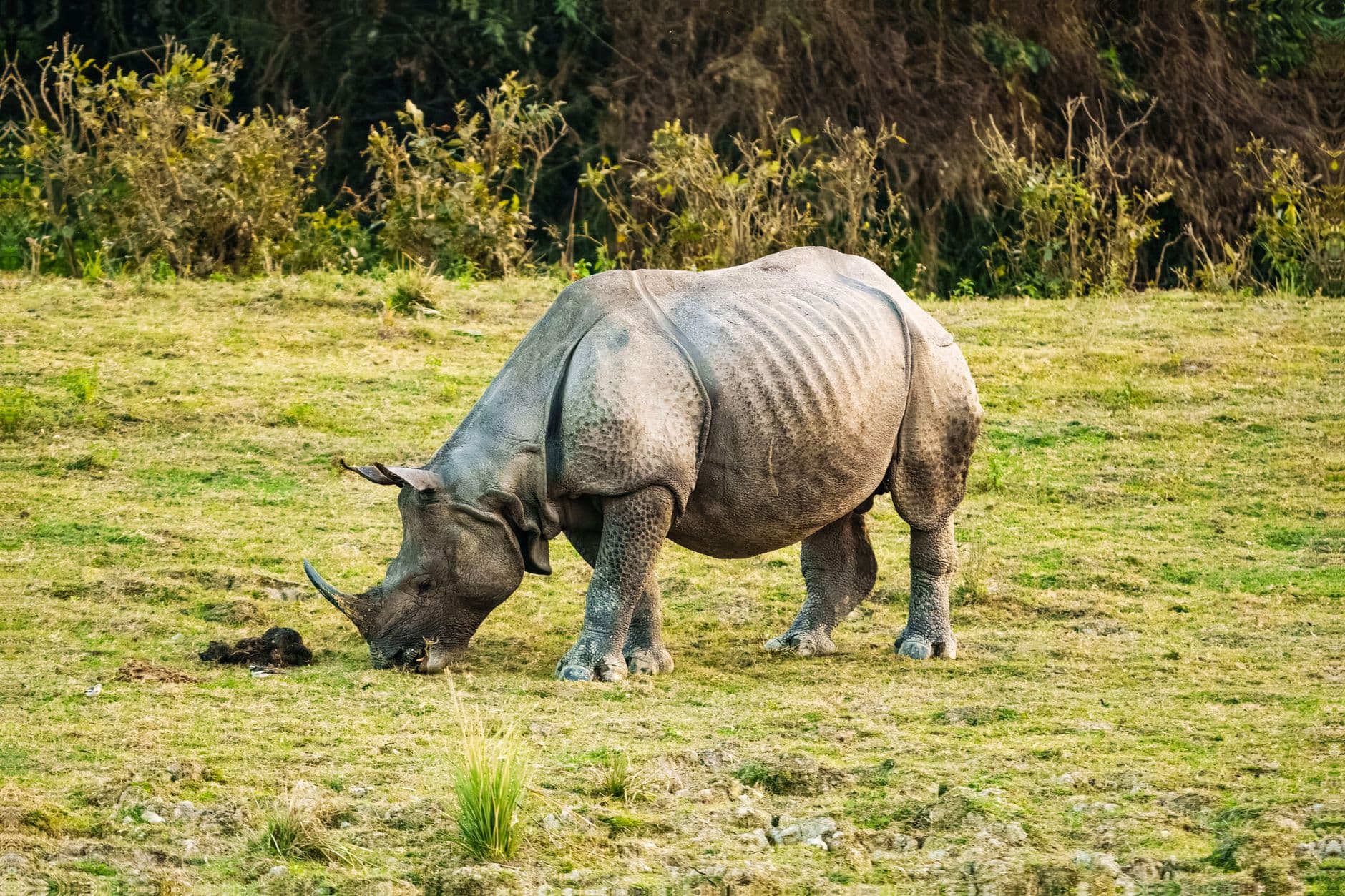 eSIM in Chitwan 1