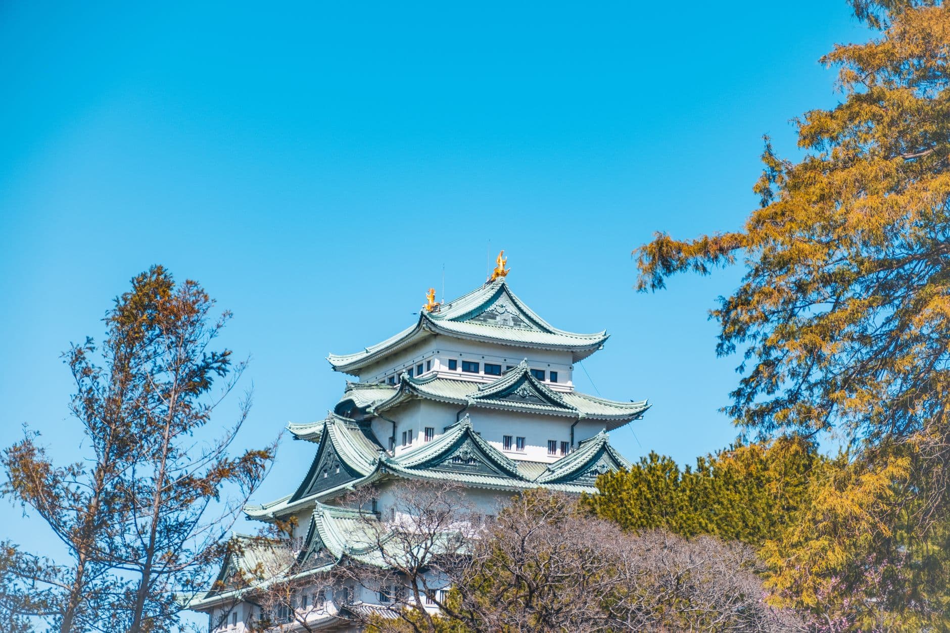 eSIM in Nagoya 2