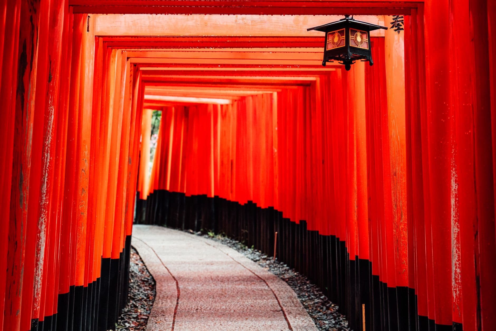 eSIM in Fushimi Inari 1