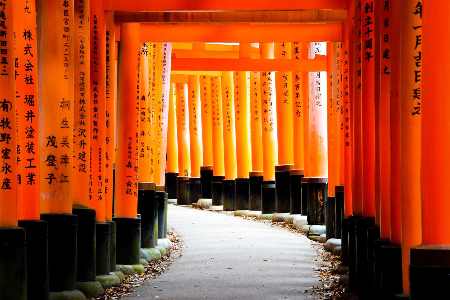 eSIM in Fushimi Inari 2