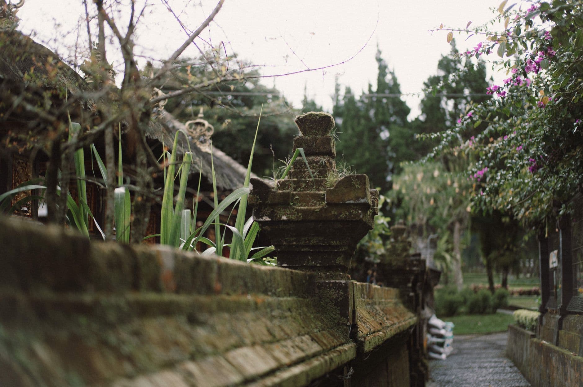 eSIM in Ubud 1