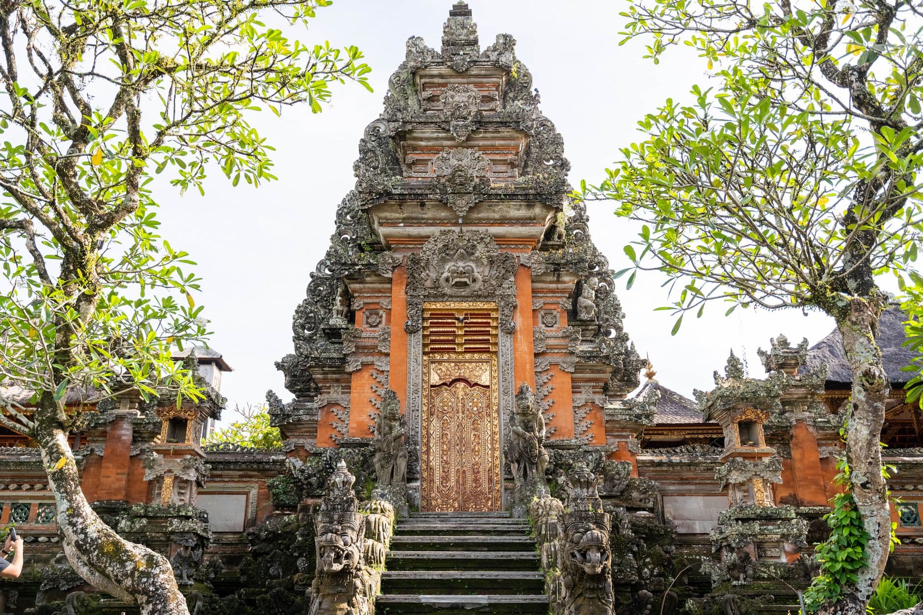 eSIM in Ubud 2
