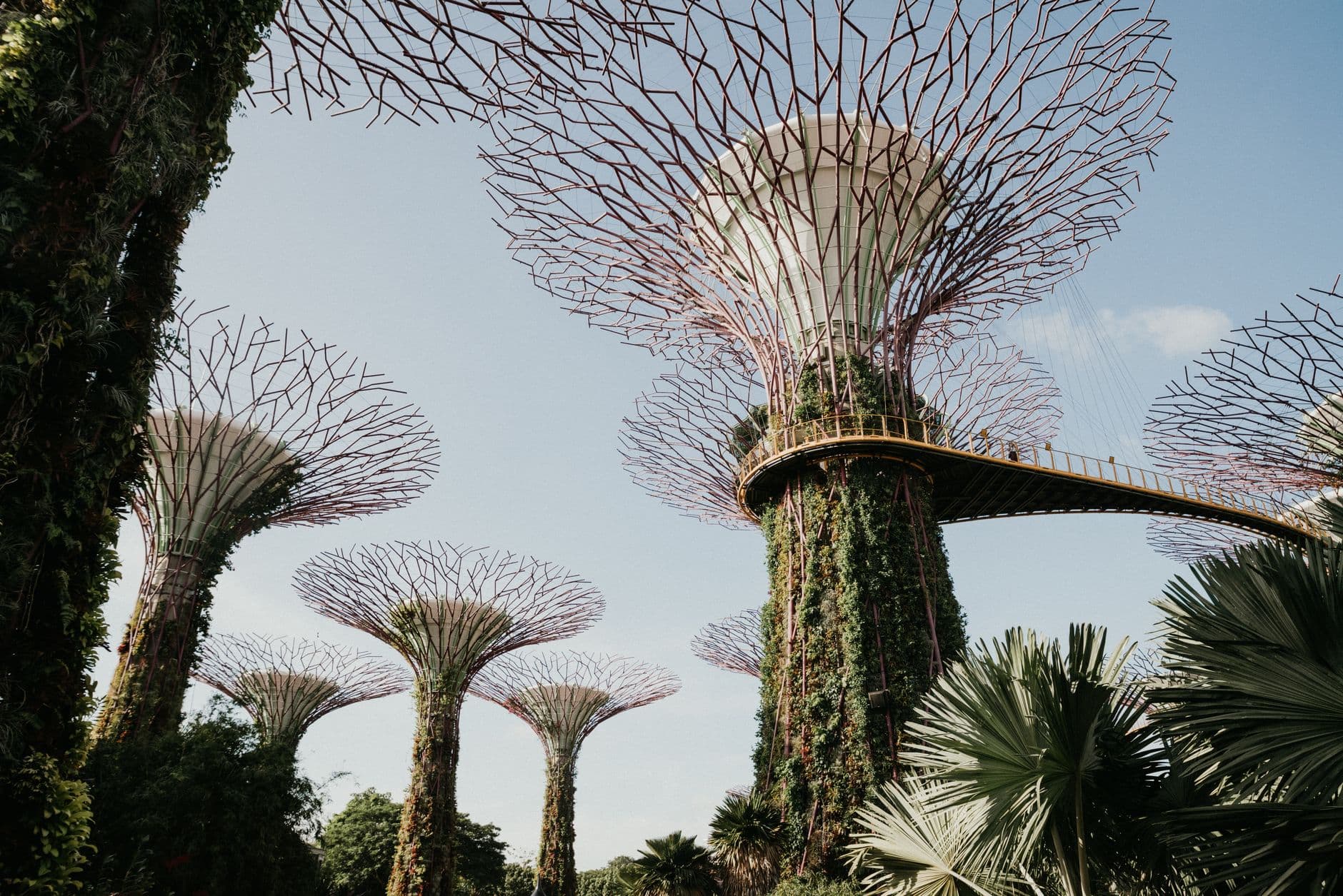 eSIM in Gardens by the Bay 1