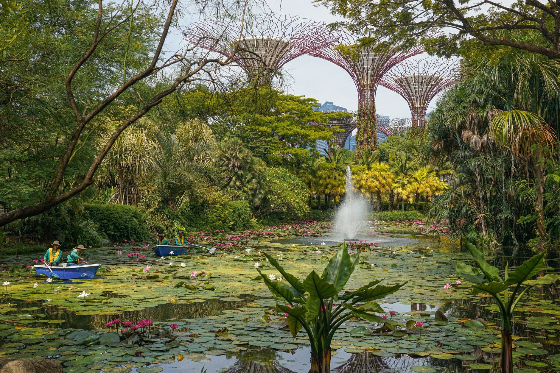 eSIM in Gardens by the Bay 2