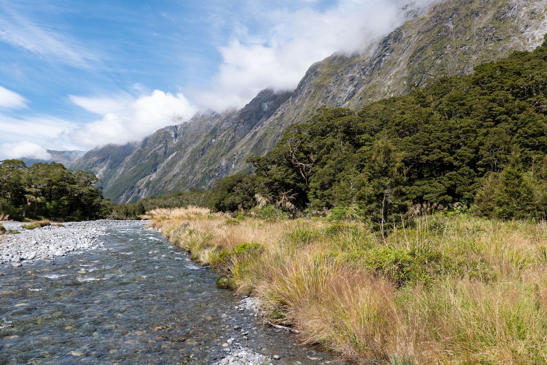 eSIM in Fiordland 2