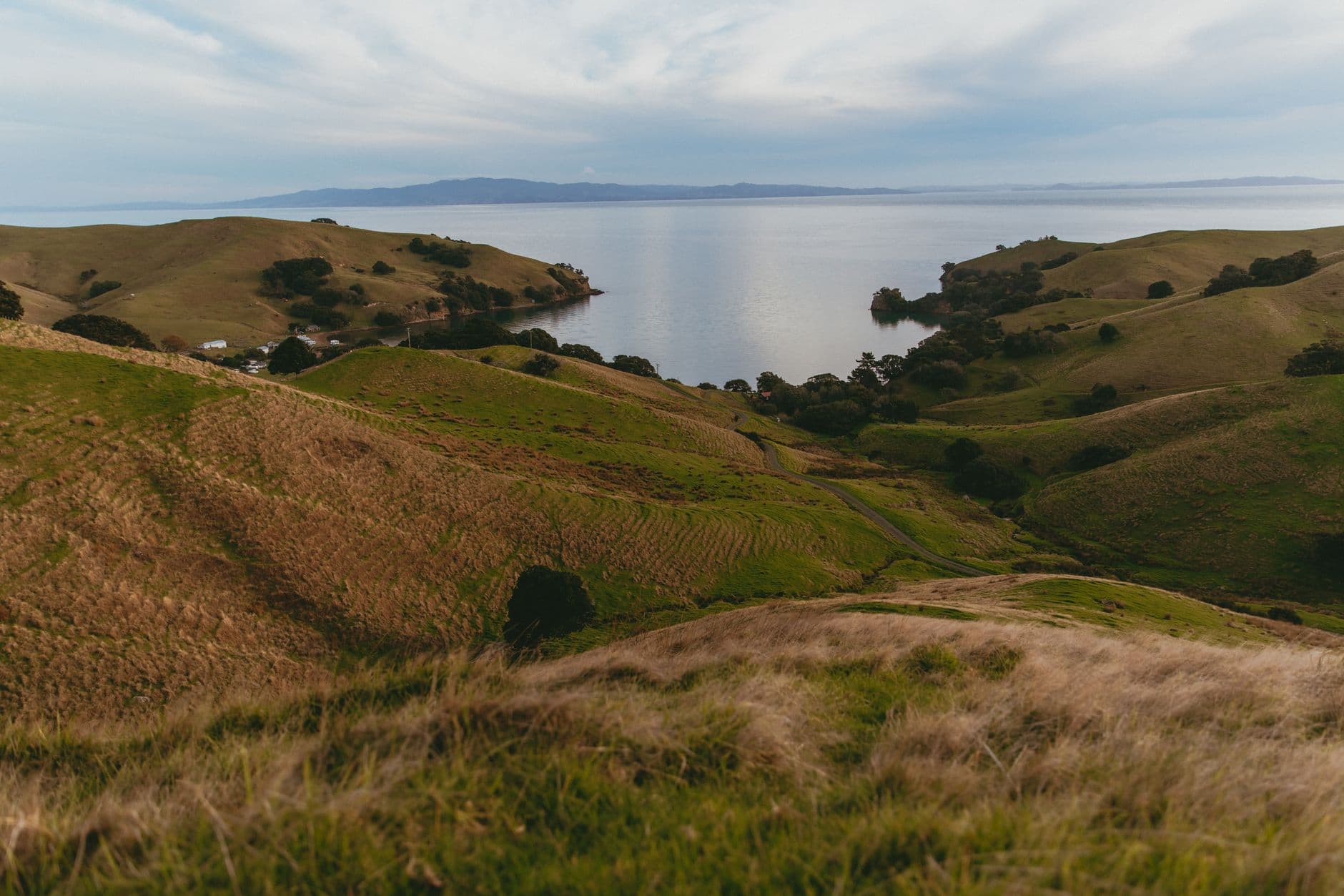 eSIM in North Island 2