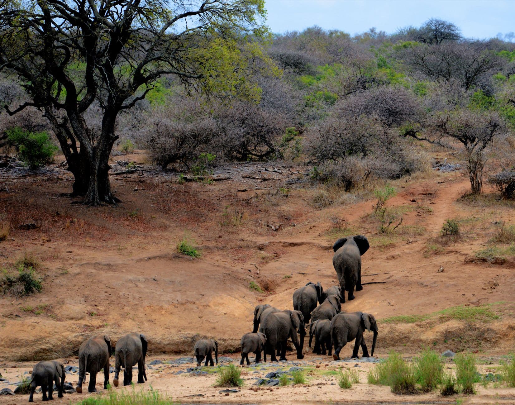 eSIM in Kruger National Park 2