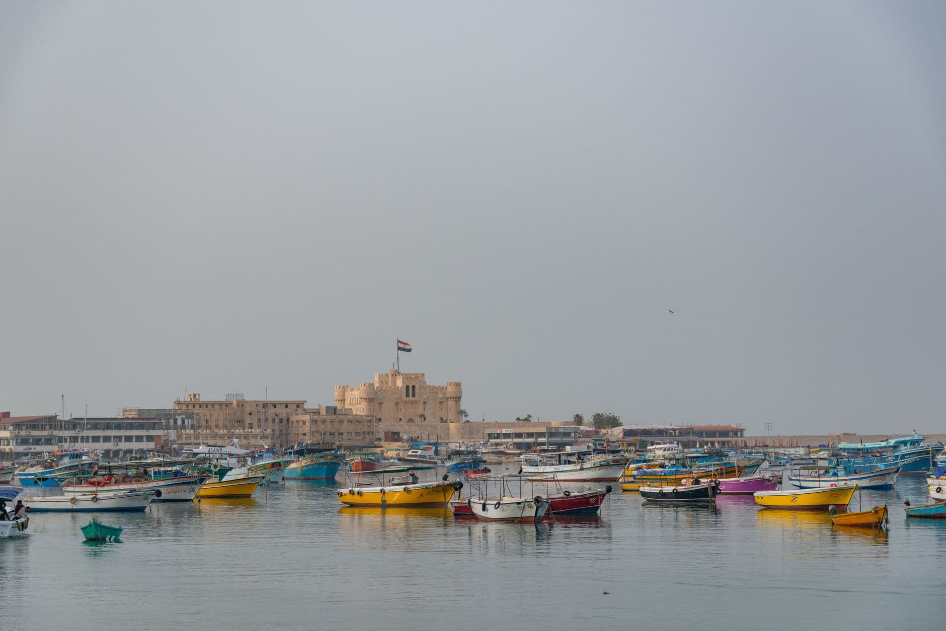 eSIM in Alexandria 2