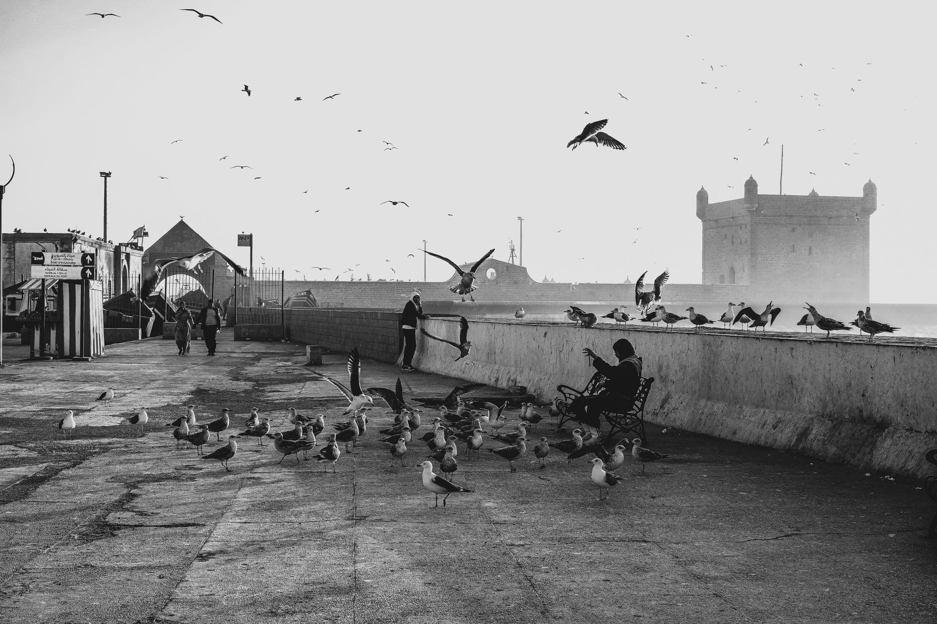 eSIM in Essaouira 2