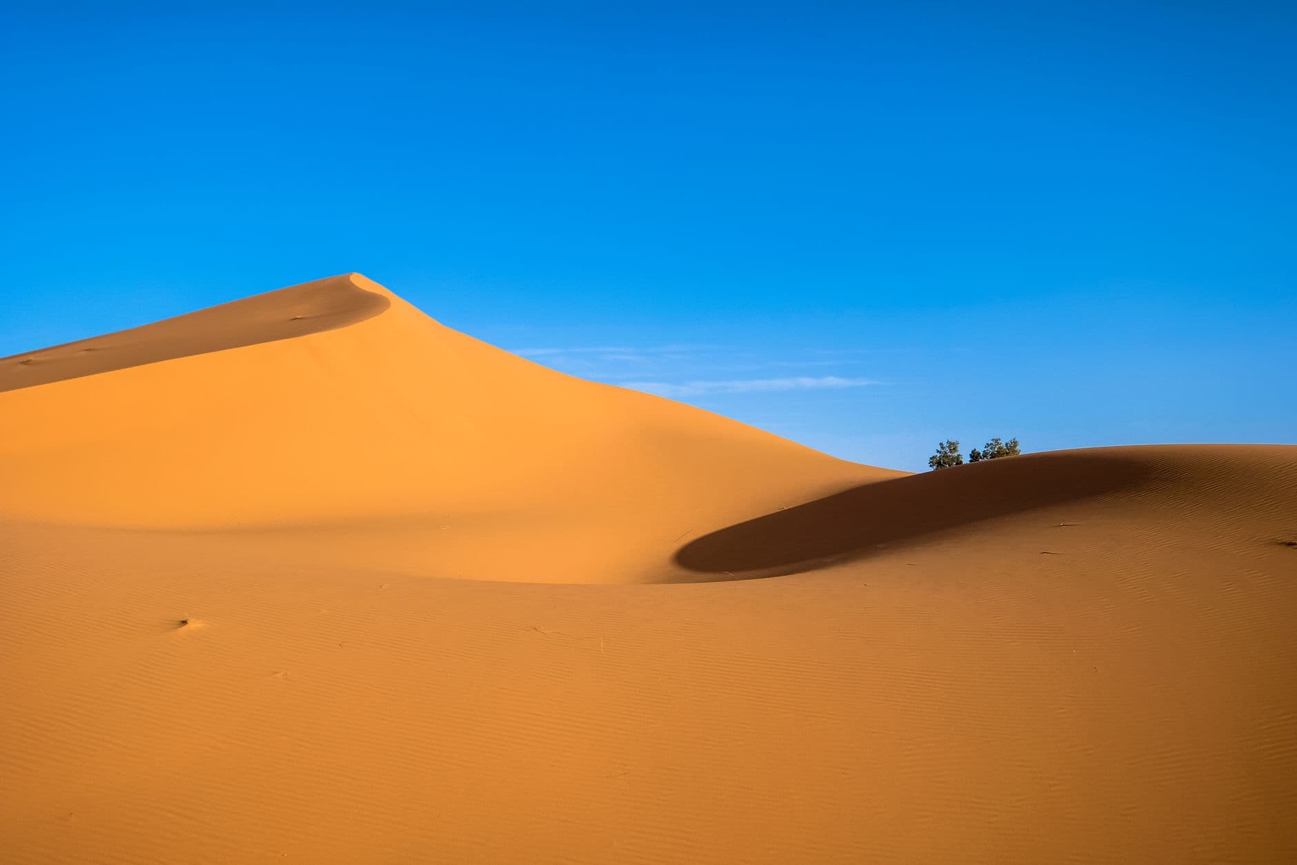 eSIM in Sahara Desert 2