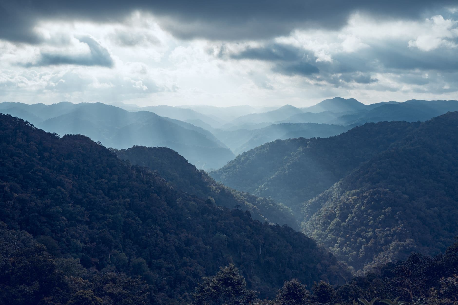 eSIM in Bwindi Impenetrable Forest 2