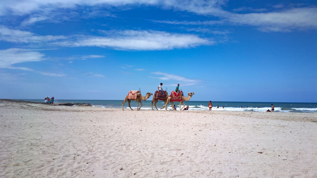 eSIM in Djerba 1