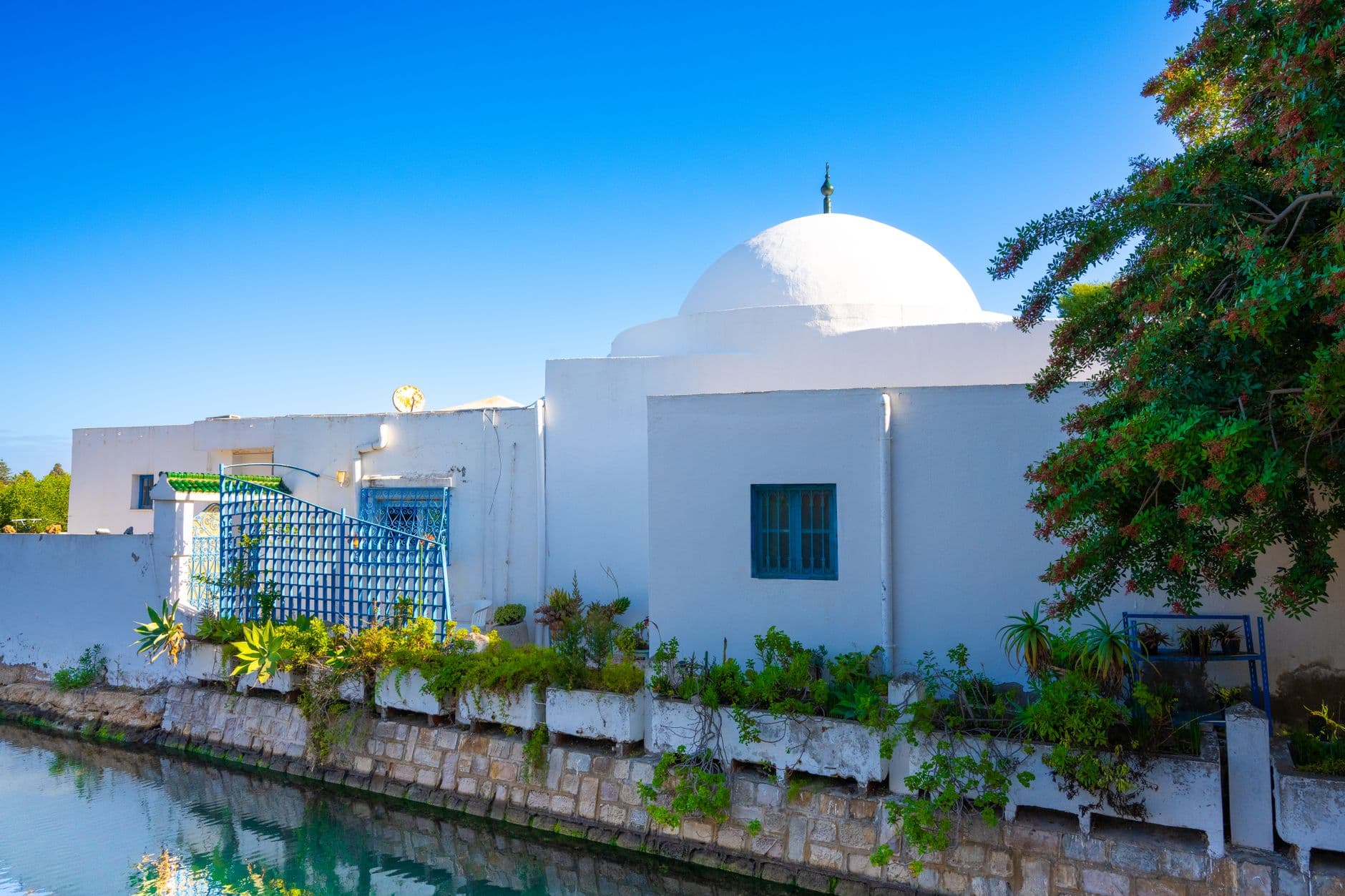 eSIM in Carthage 1