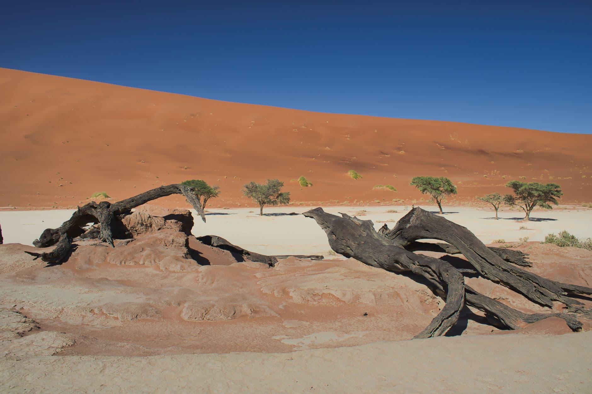 eSIM in Sossusvlei 1