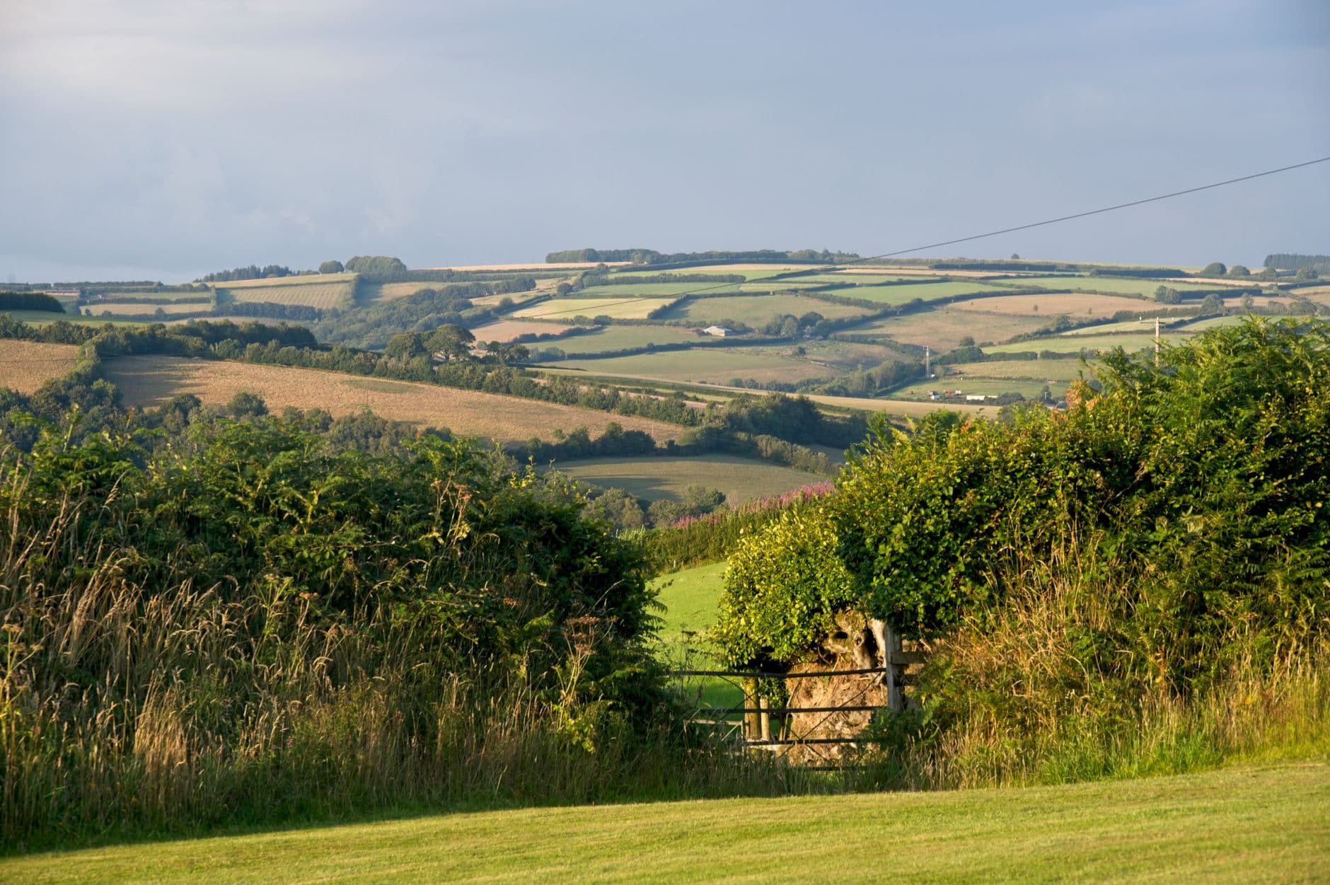eSIM in Devon 2