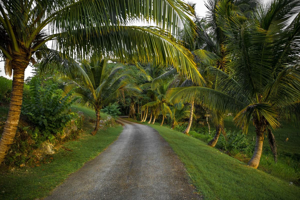 Jamaica 1