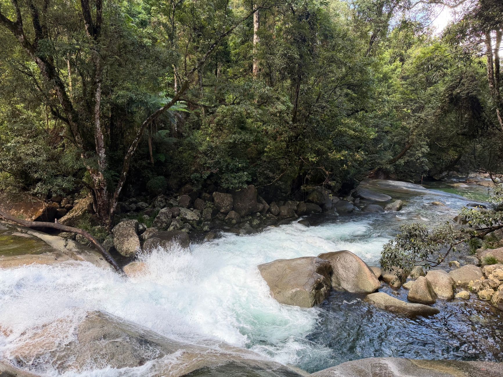 eSIM in Daintree Rainforest 1