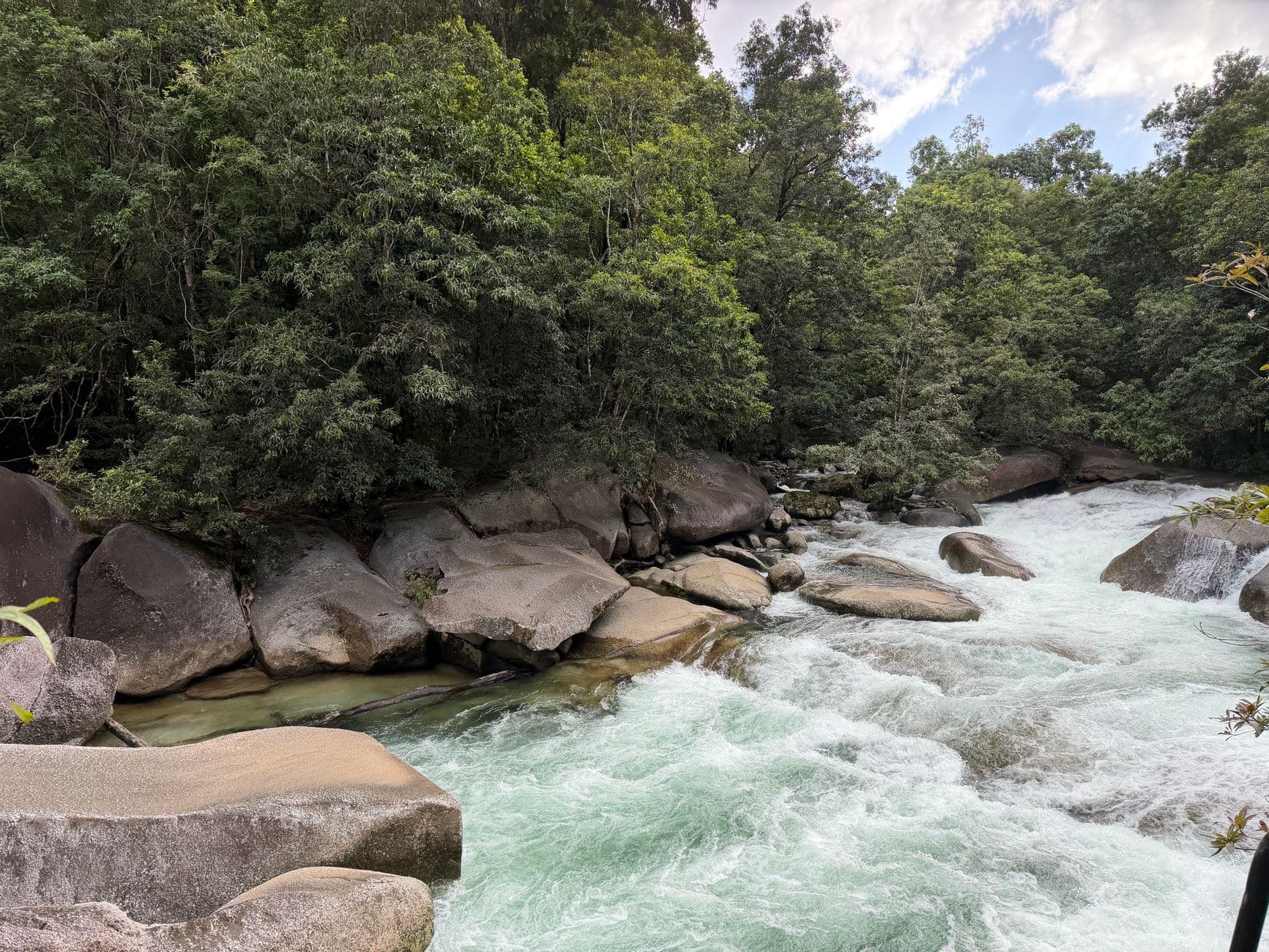 eSIM in Daintree Rainforest 2